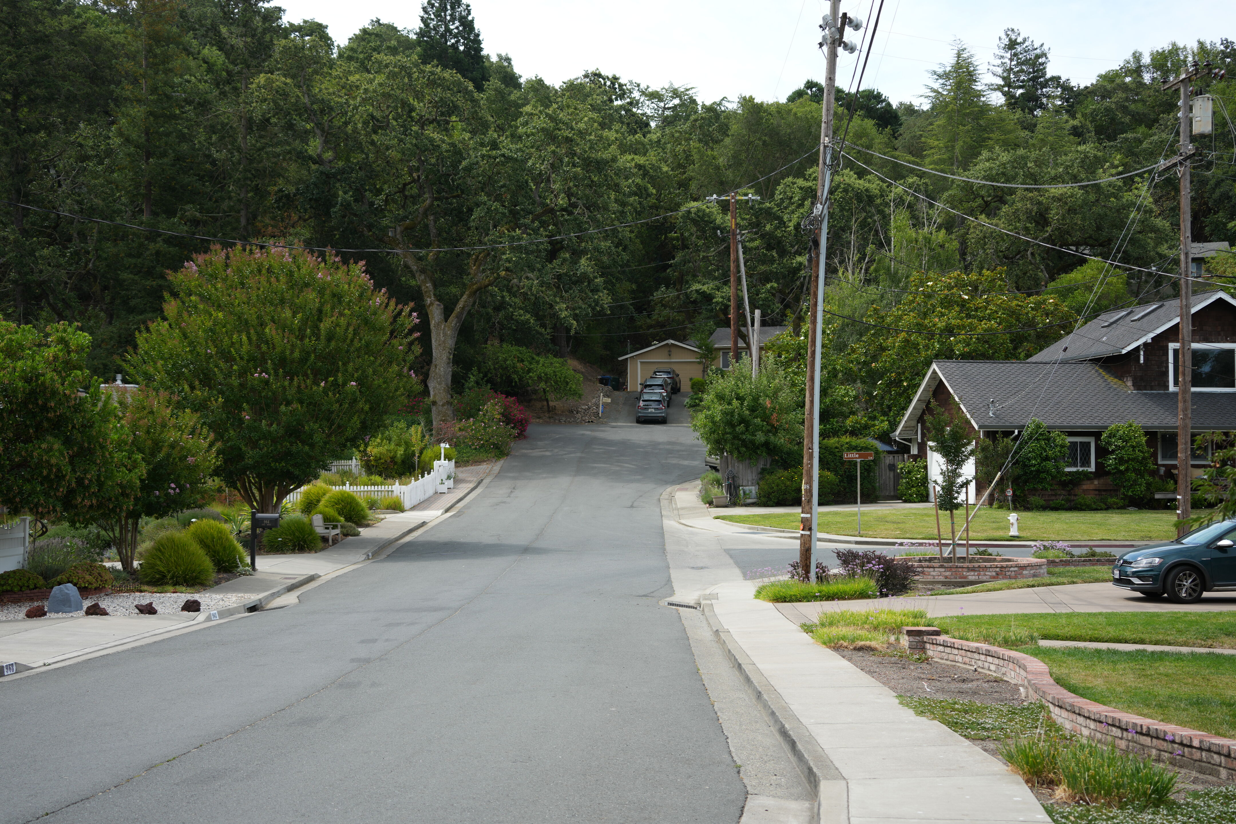 Lafayette Moraga Regional Trail