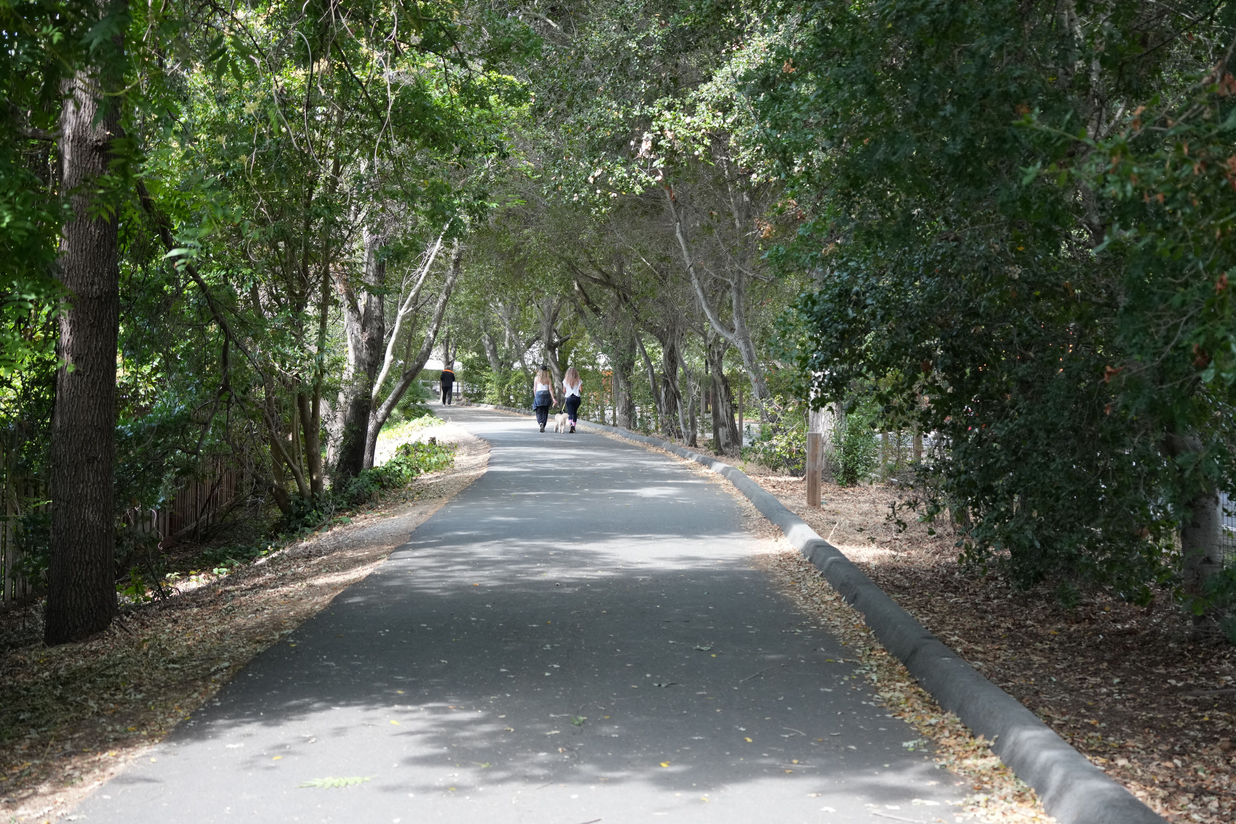 Lafayette Moraga Regional Trail