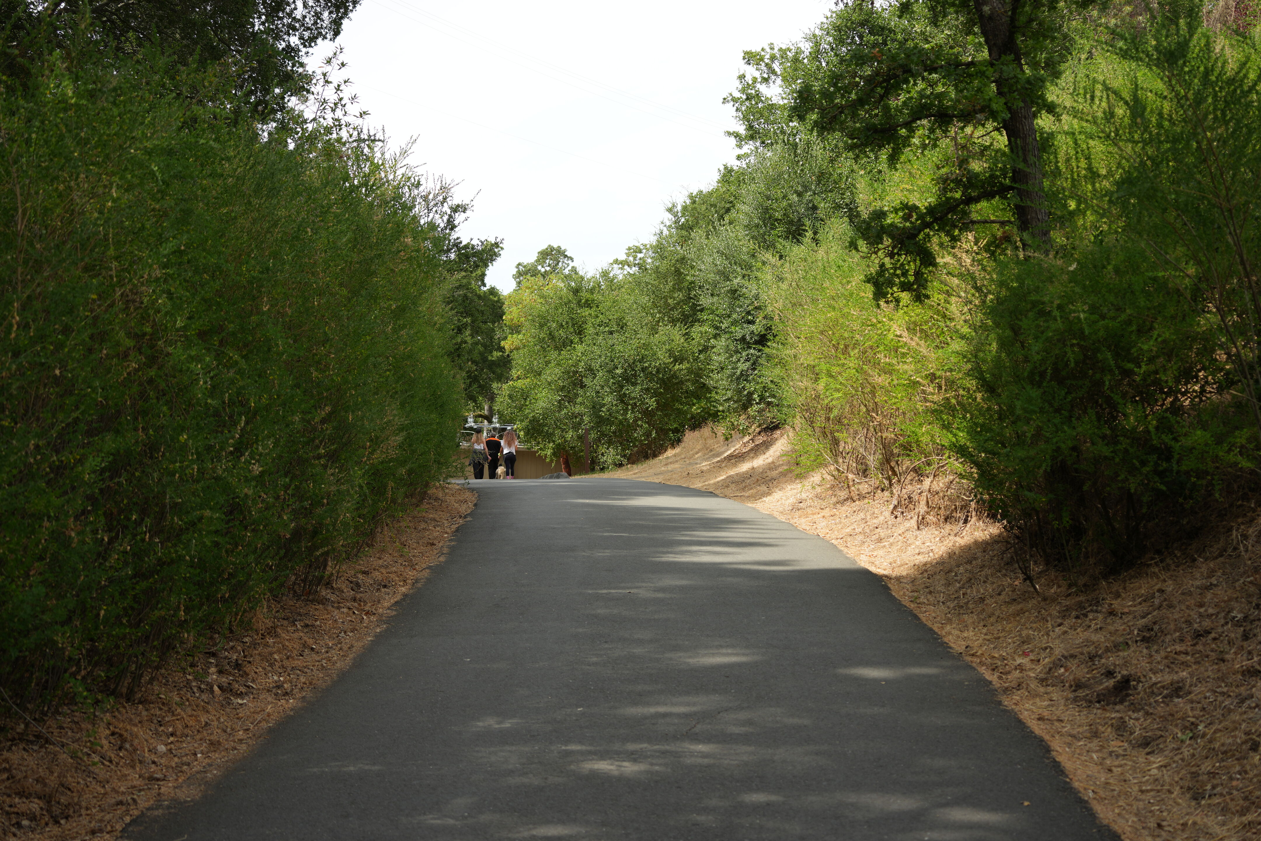 Lafayette Moraga Regional Trail