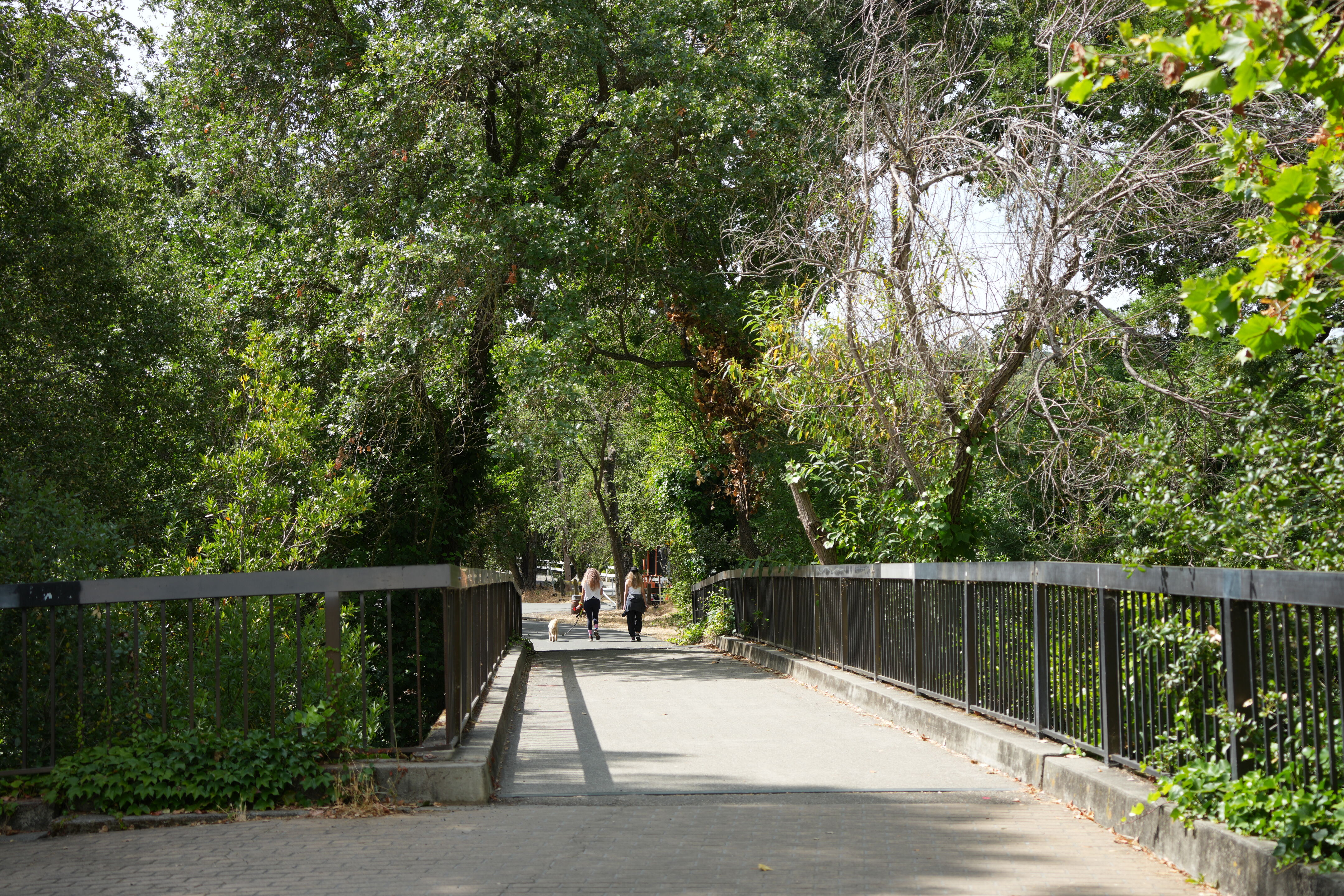Lafayette Moraga Regional Trail