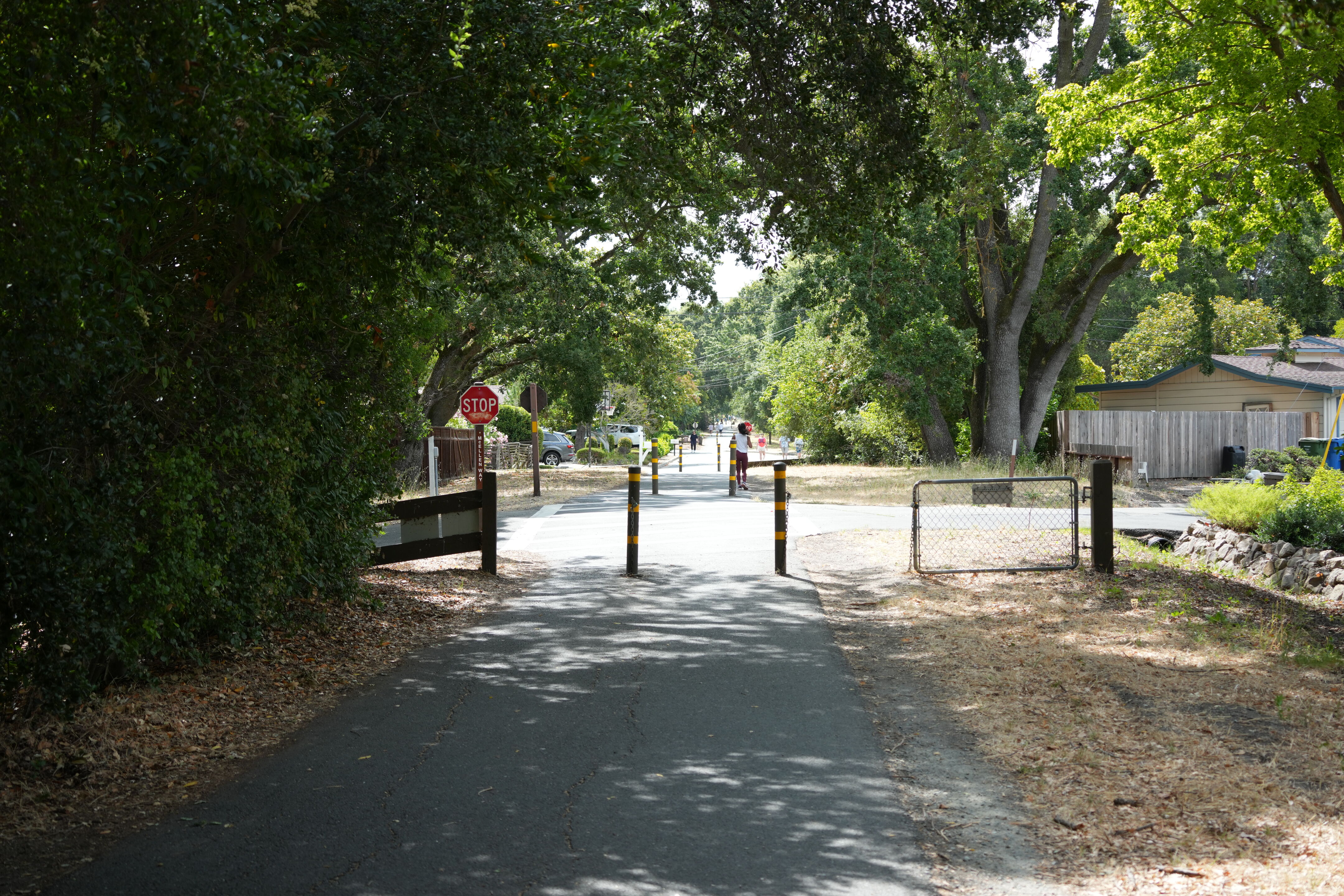 Lafayette Moraga Regional Trail