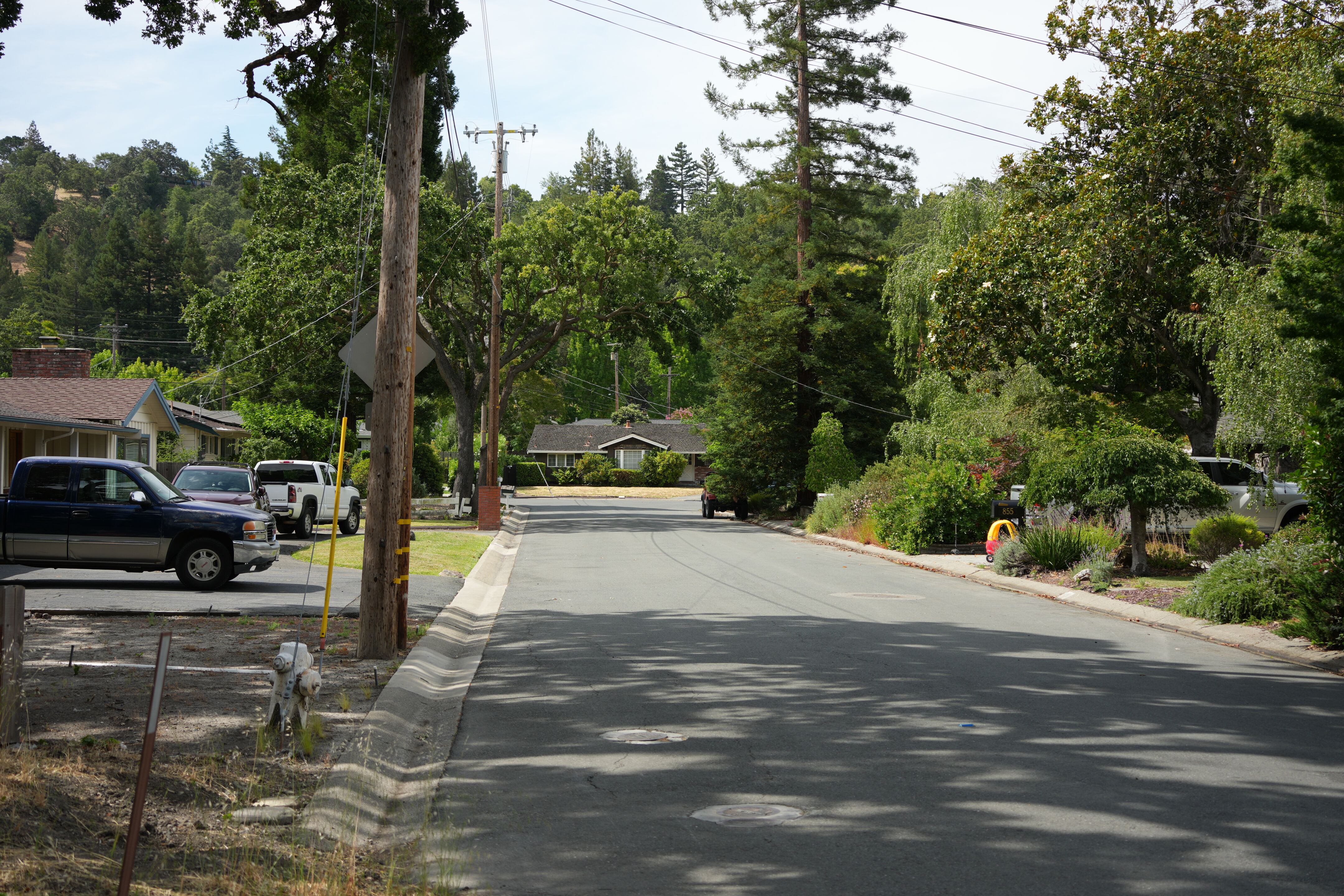 Lafayette Moraga Regional Trail