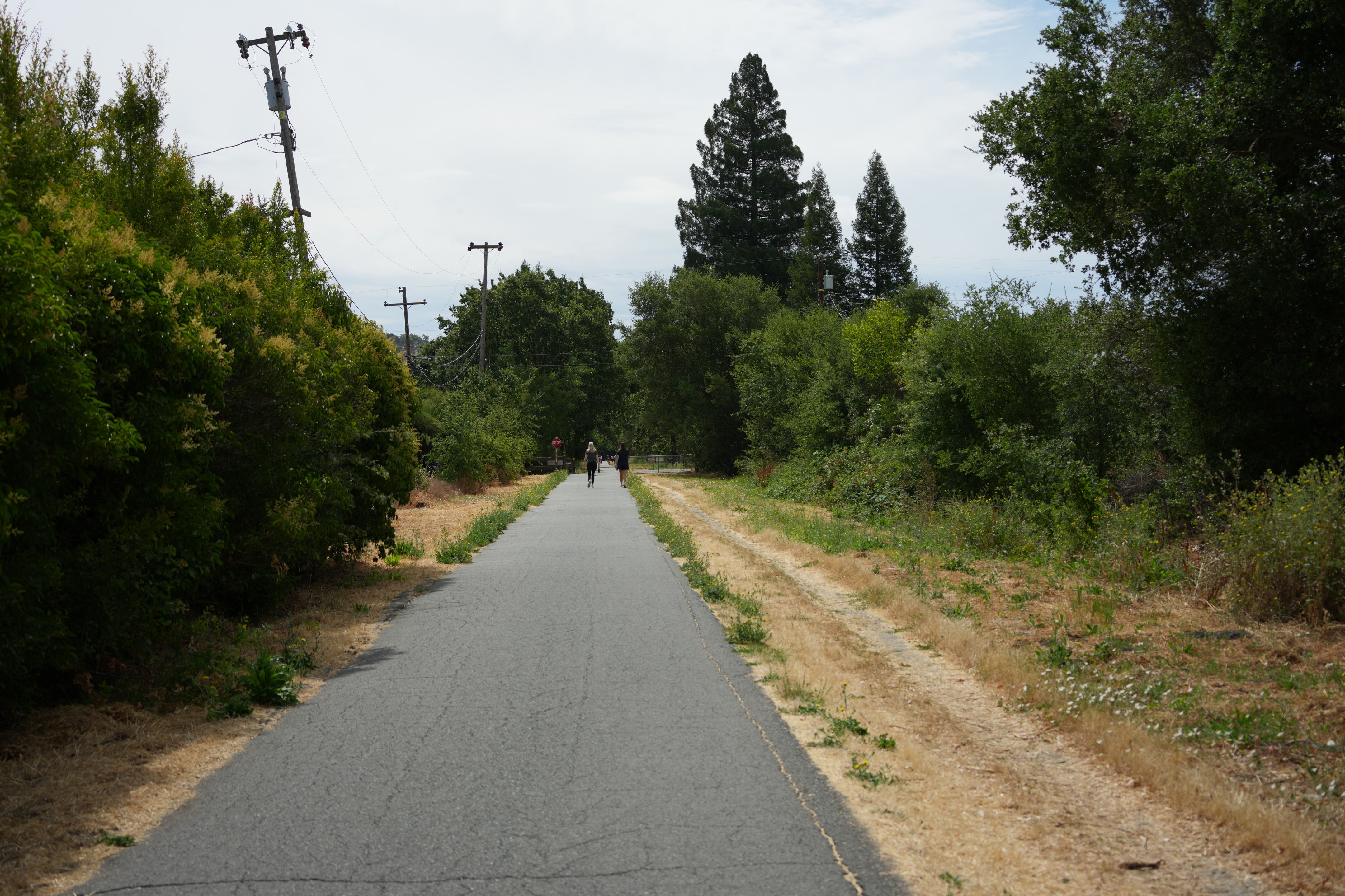 Lafayette Moraga Regional Trail