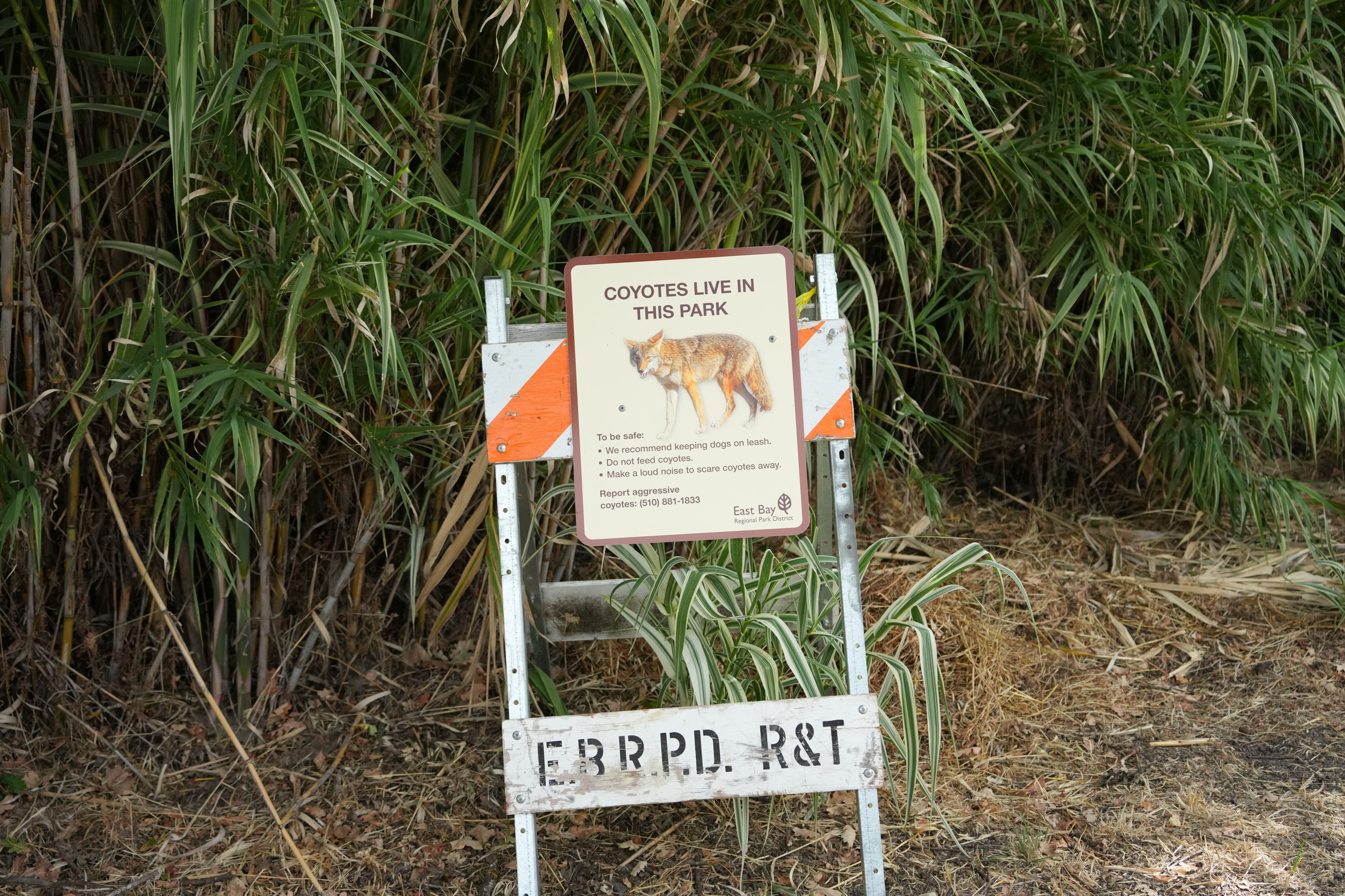 Lafayette Moraga Regional Trail