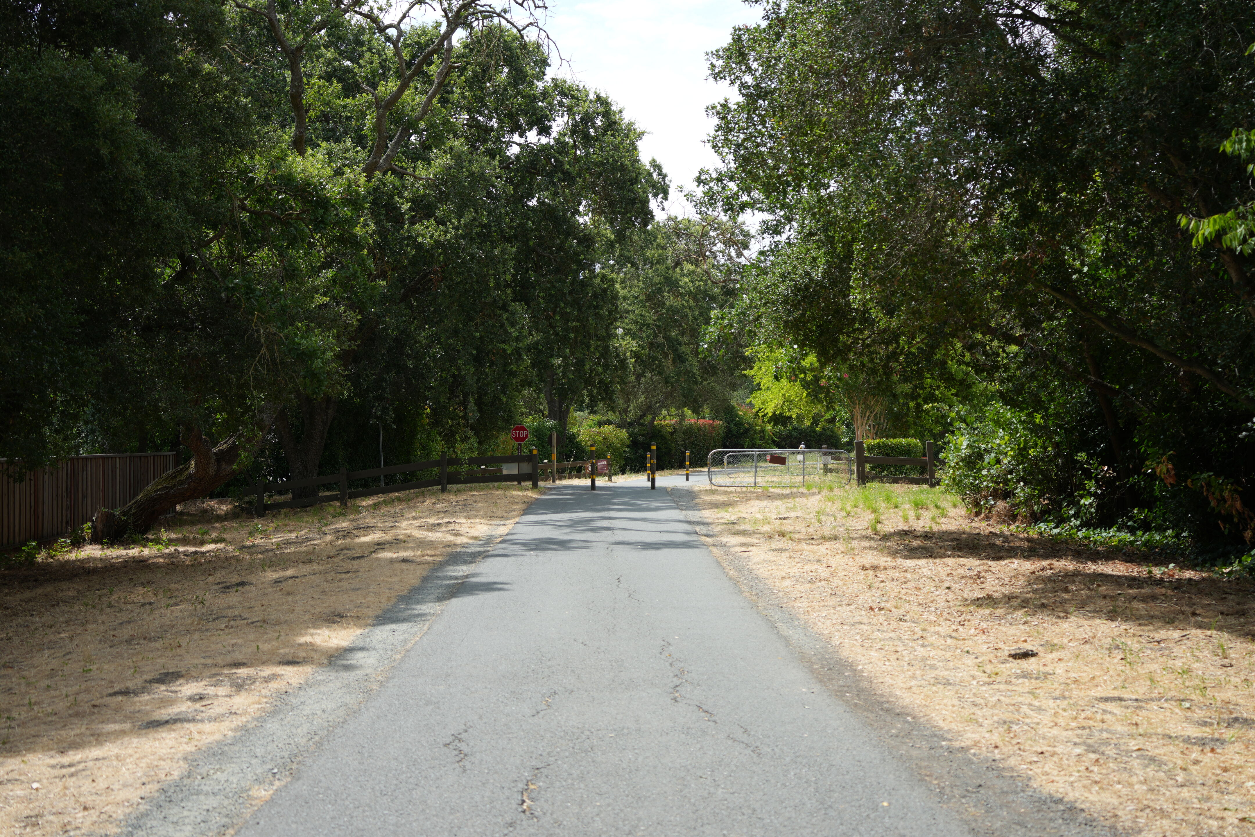 Lafayette Moraga Regional Trail