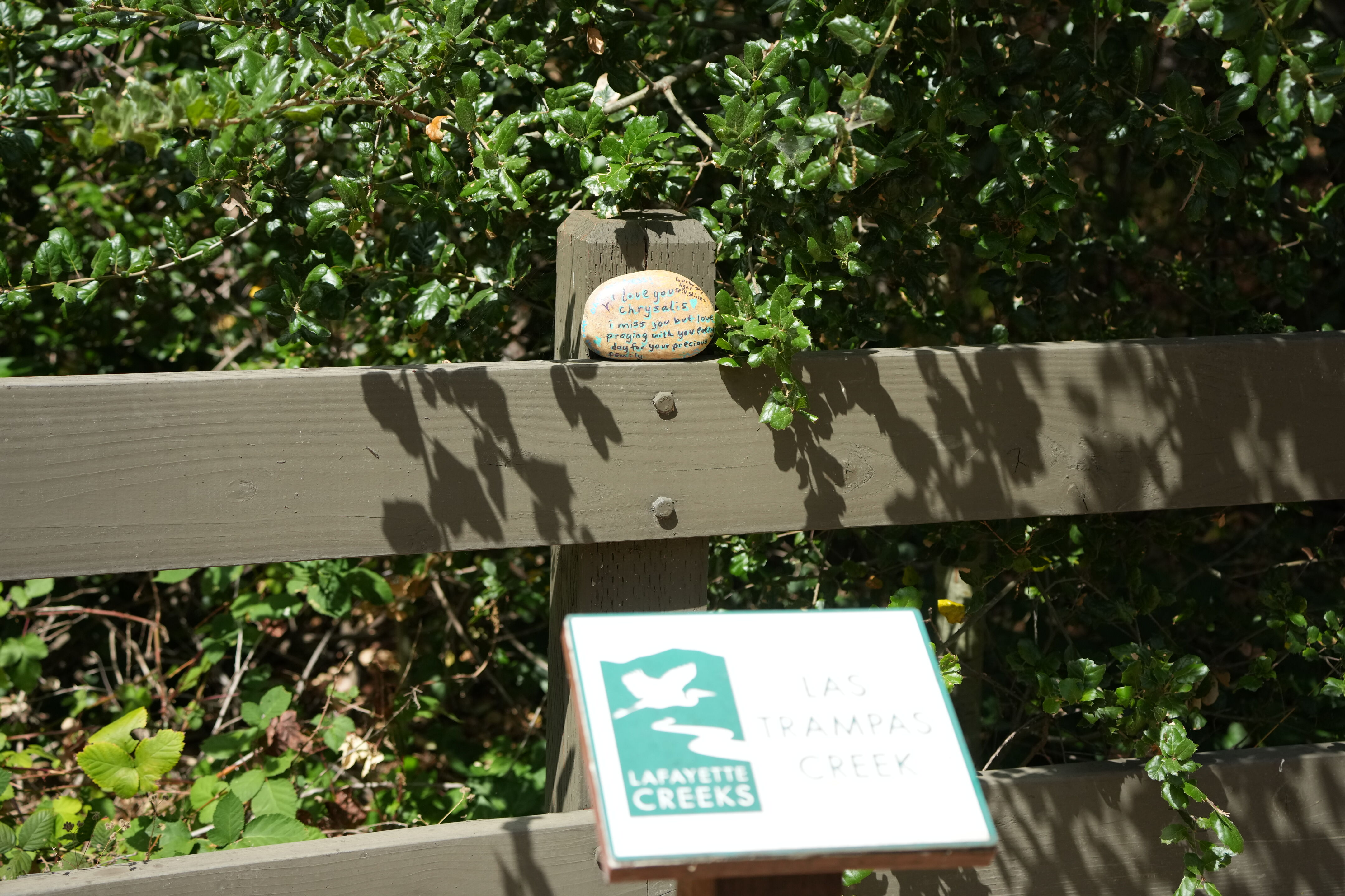 Lafayette Moraga Regional Trail