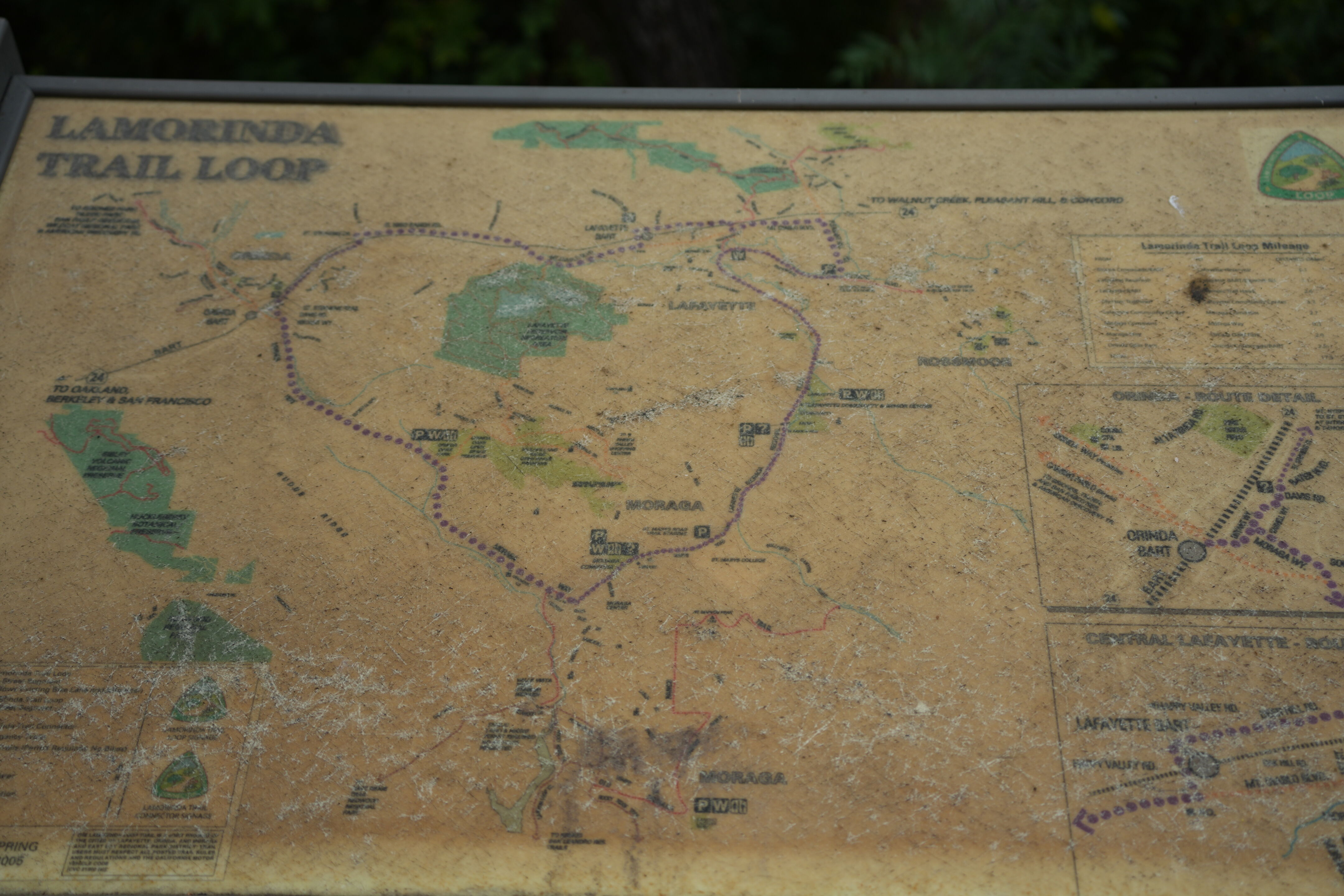 Lafayette Moraga Regional Trail