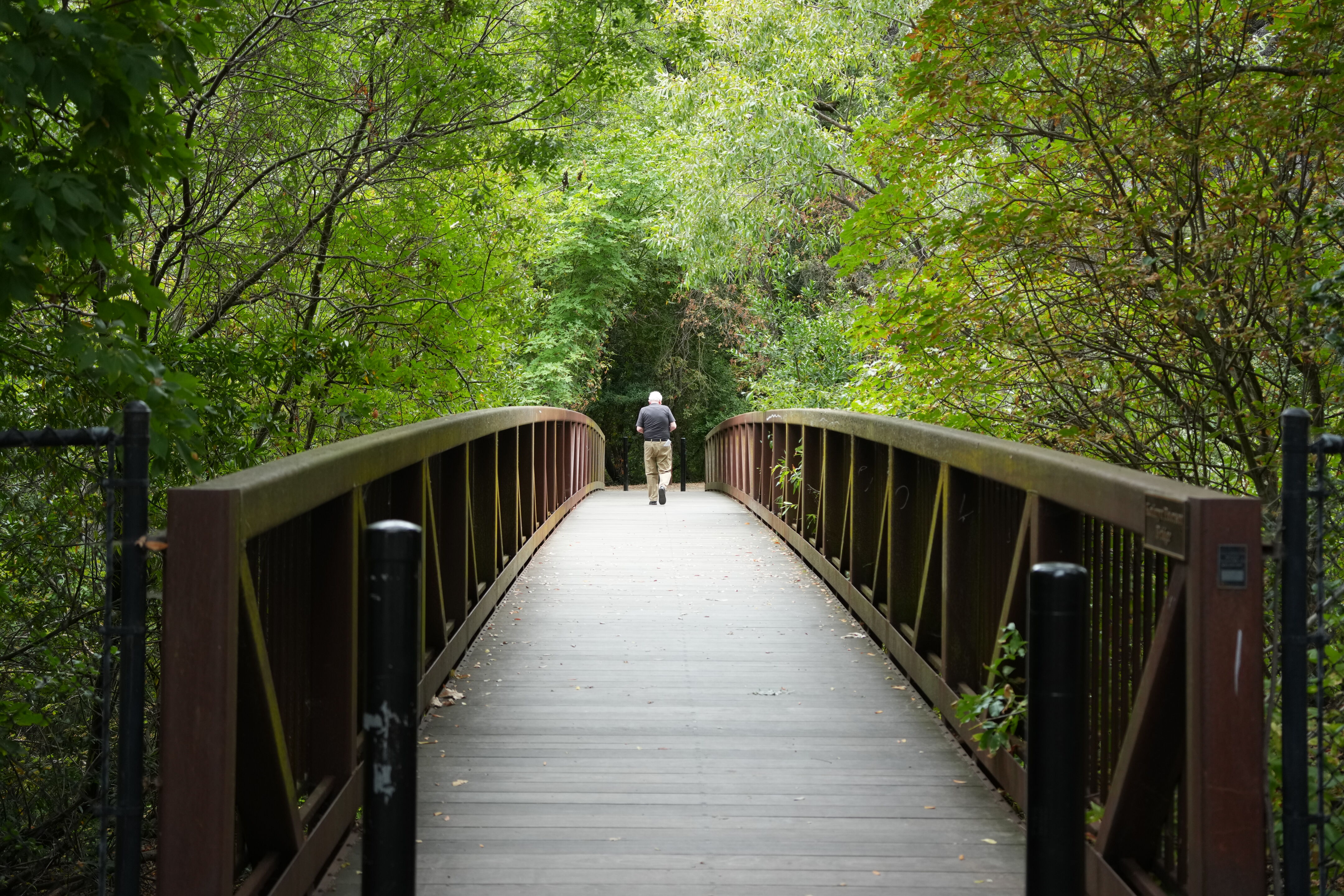 Lafayette Moraga Regional Trail