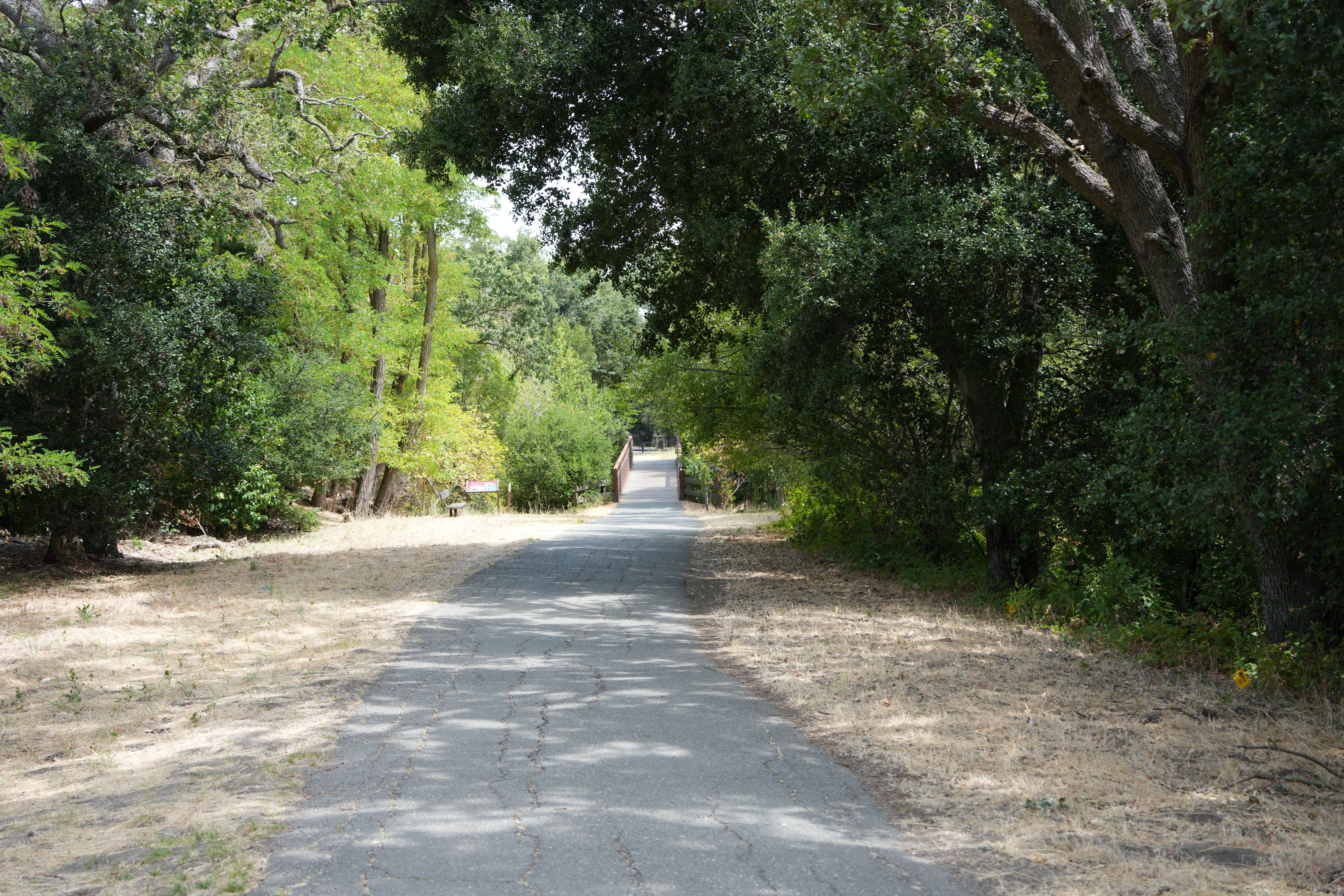 Lafayette Moraga Regional Trail