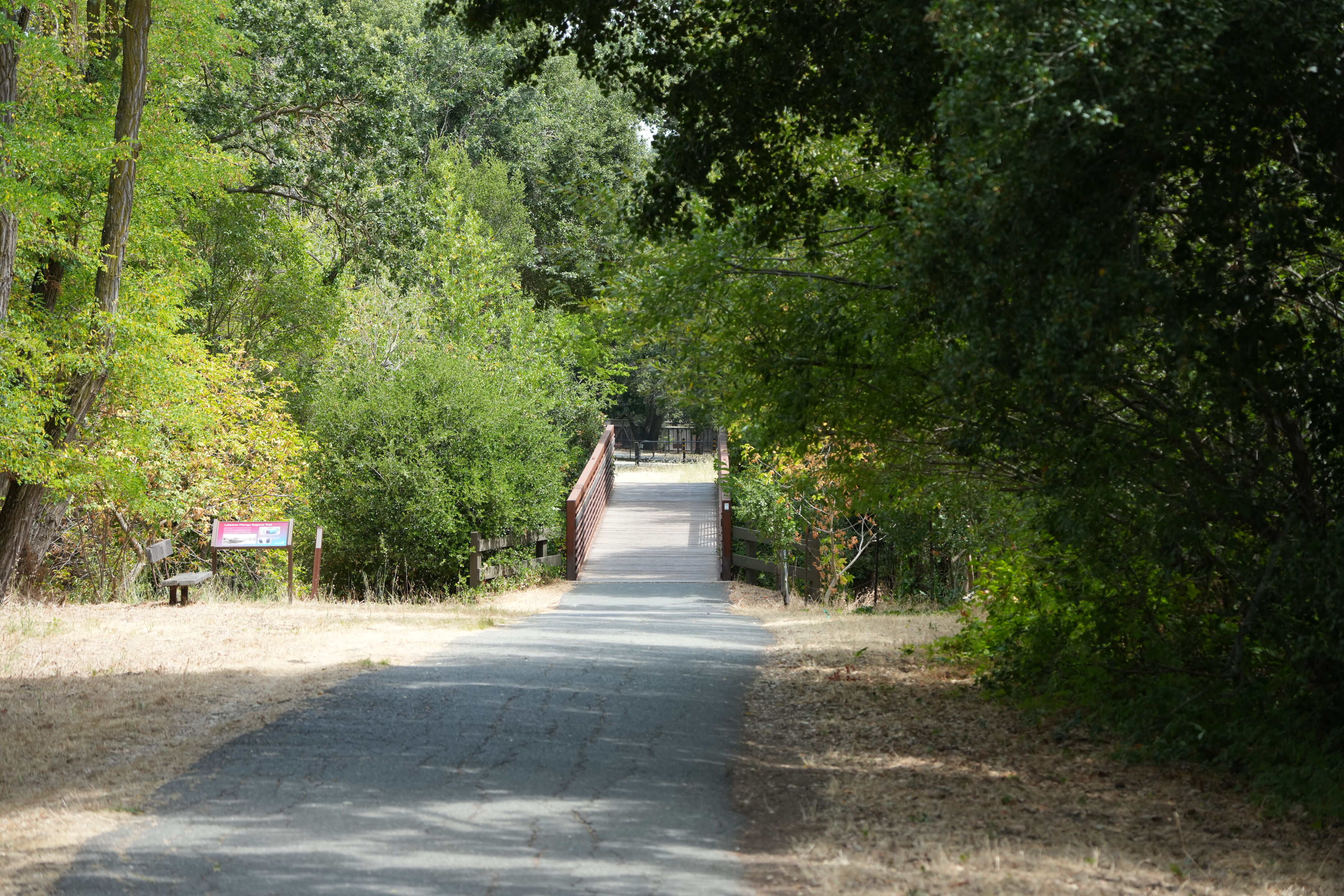 Lafayette Moraga Regional Trail