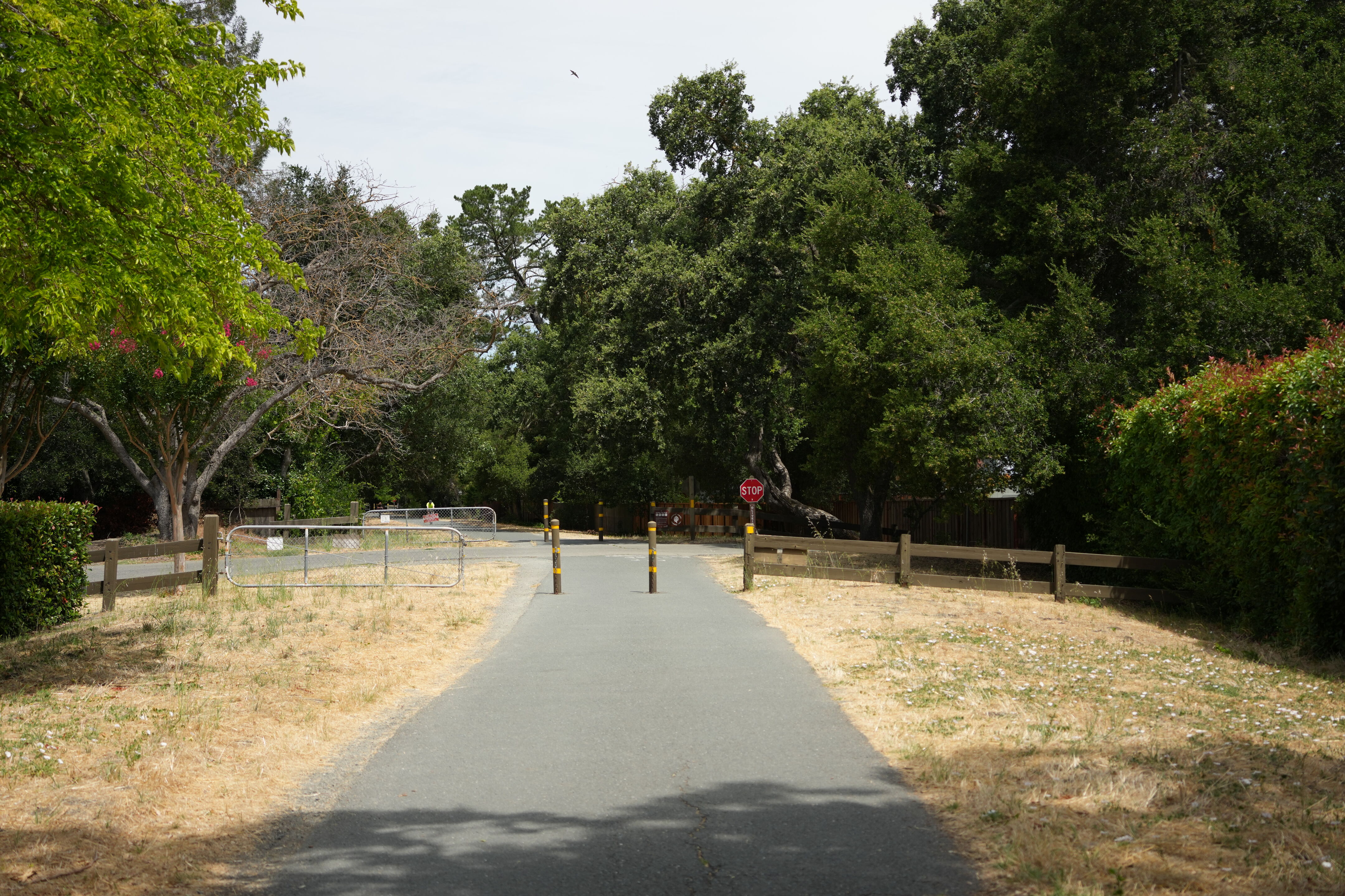Lafayette Moraga Regional Trail