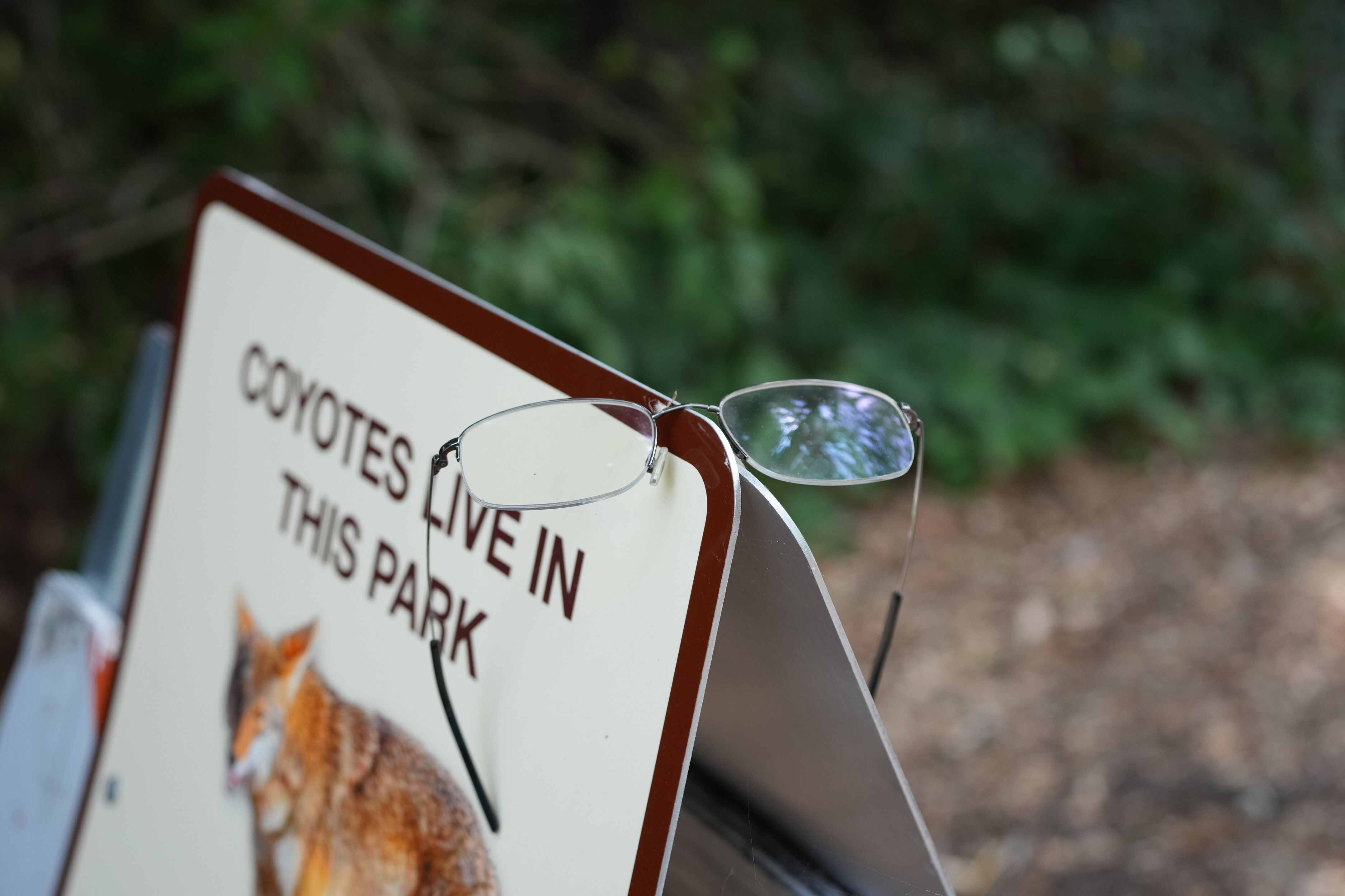 Lafayette Moraga Regional Trail