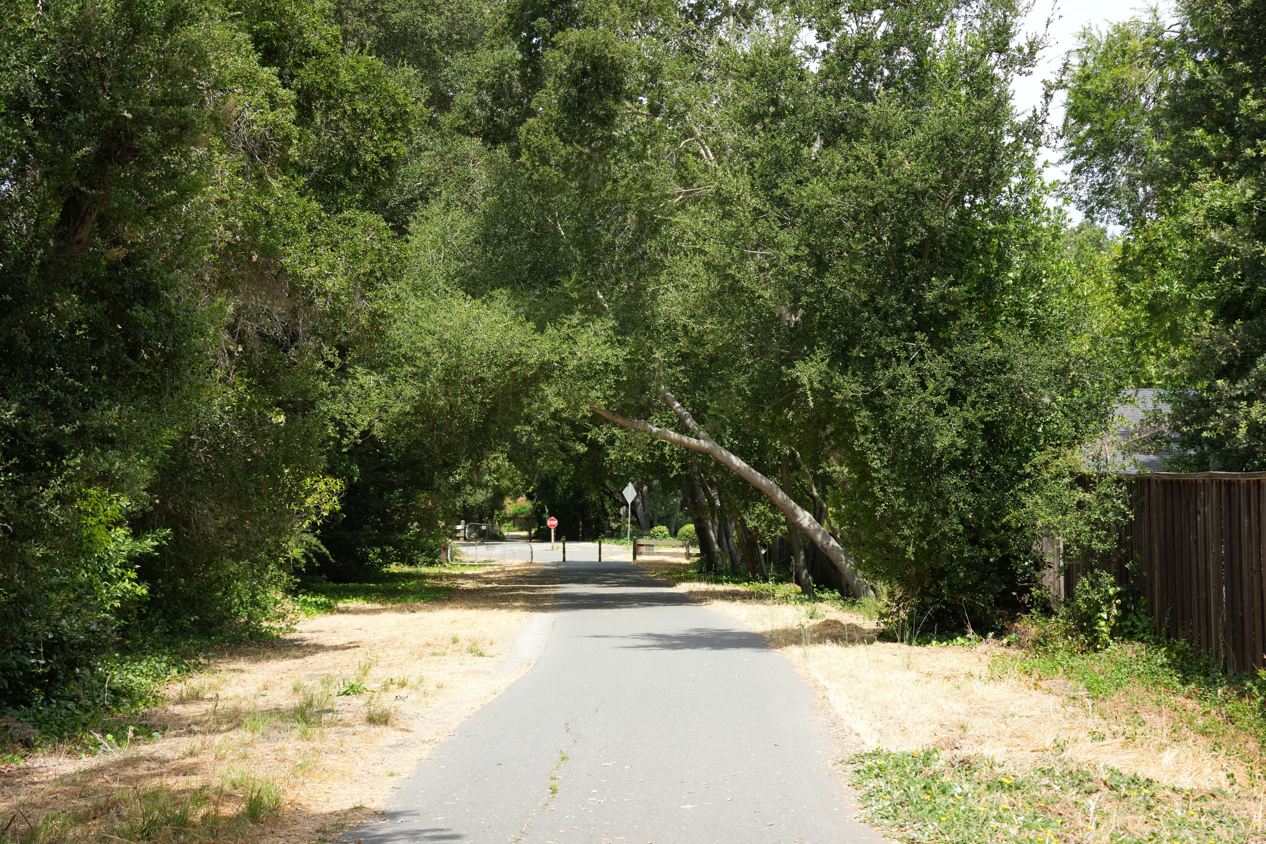 Lafayette Moraga Regional Trail