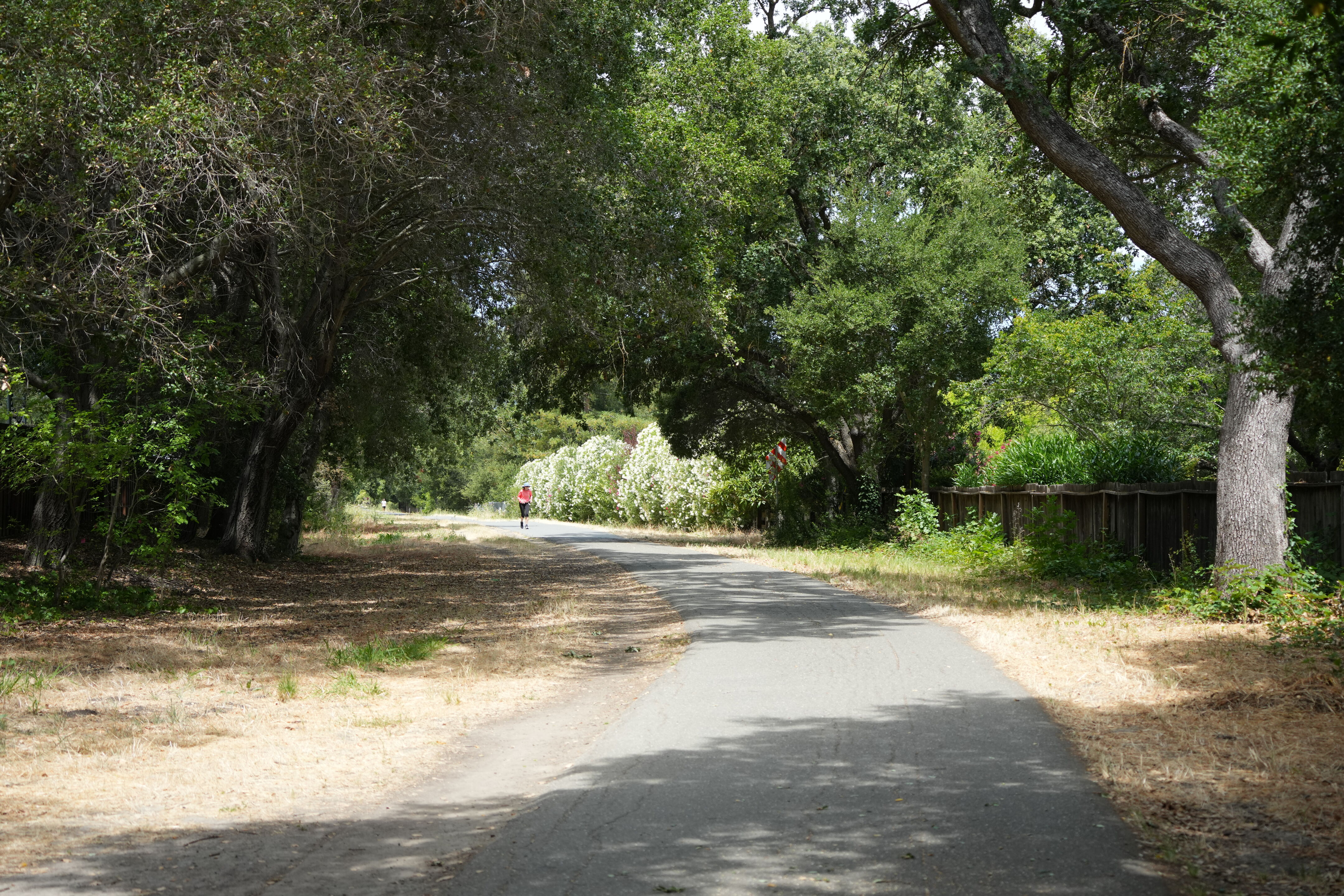 Lafayette Moraga Regional Trail