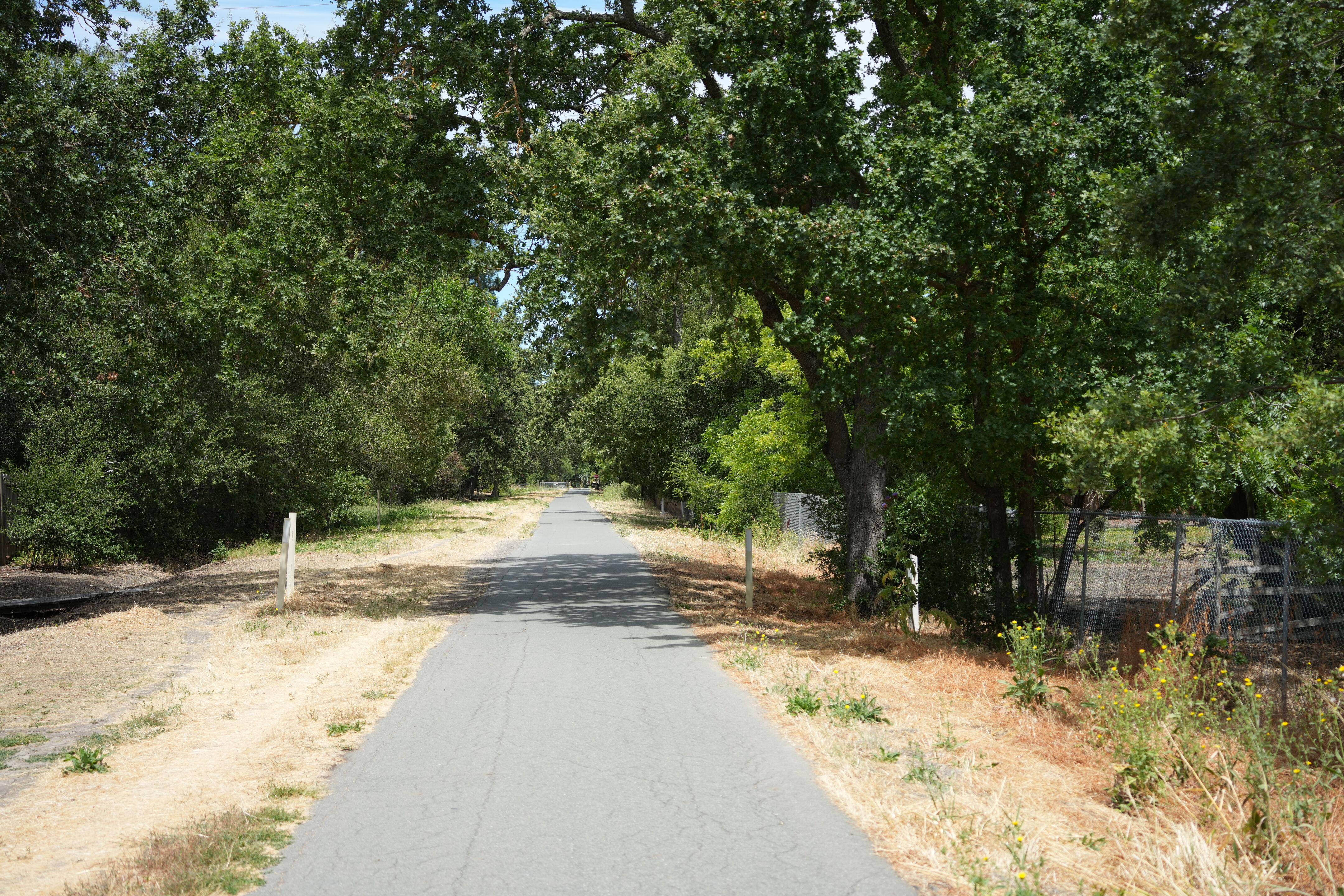 Lafayette Moraga Regional Trail