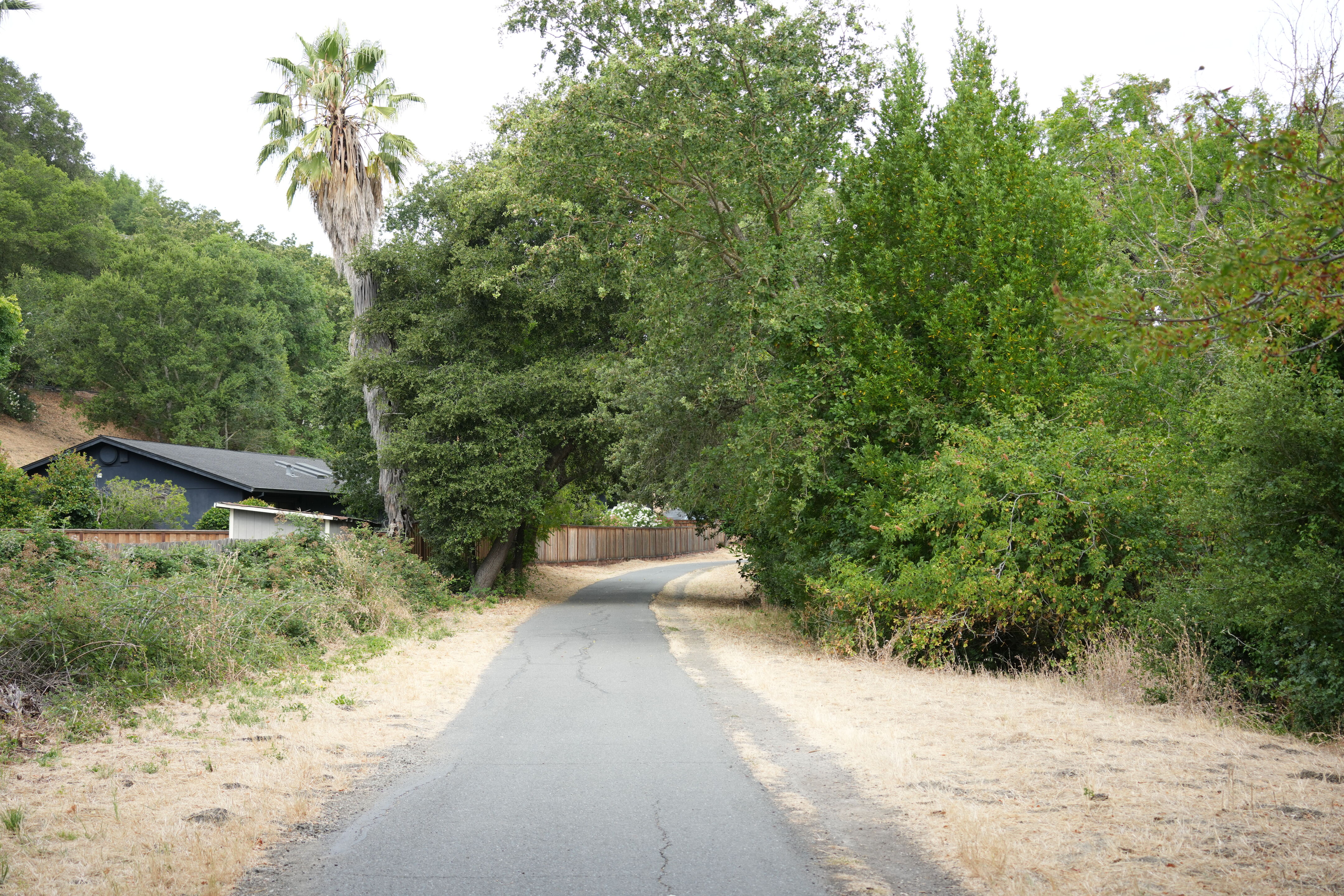 Lafayette Moraga Regional Trail