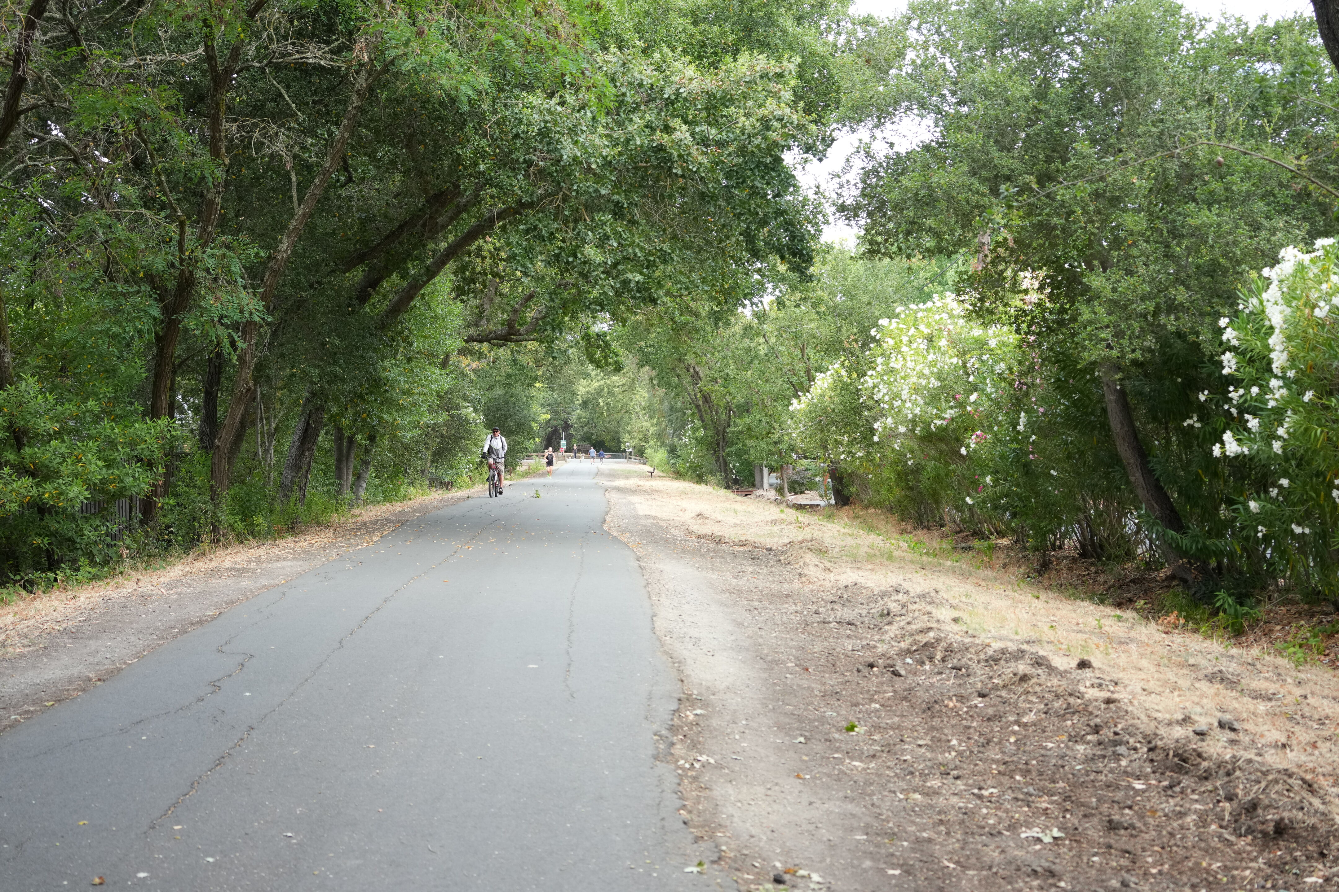 Lafayette Moraga Regional Trail