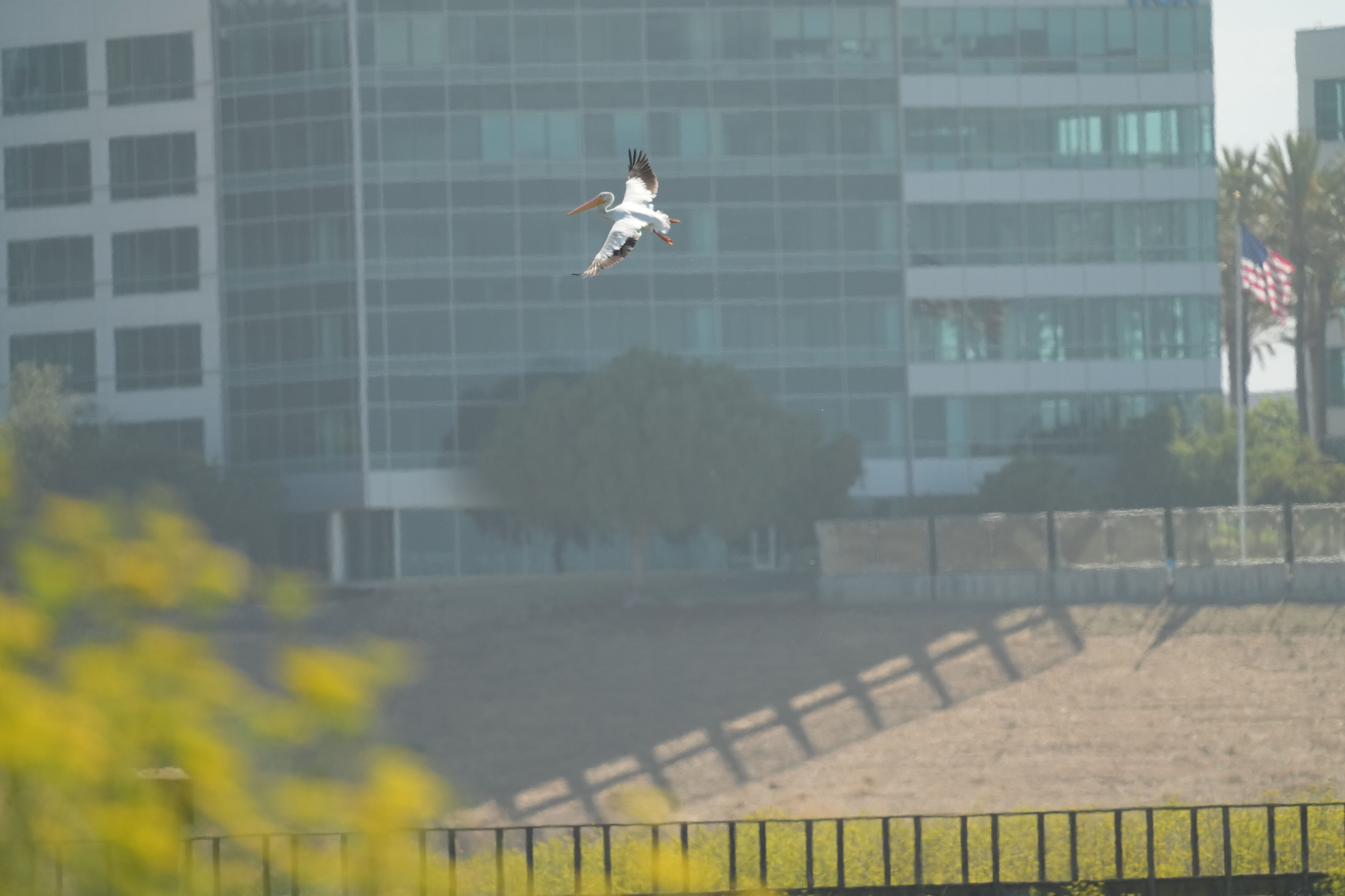 Sunnyvale Baylands Park