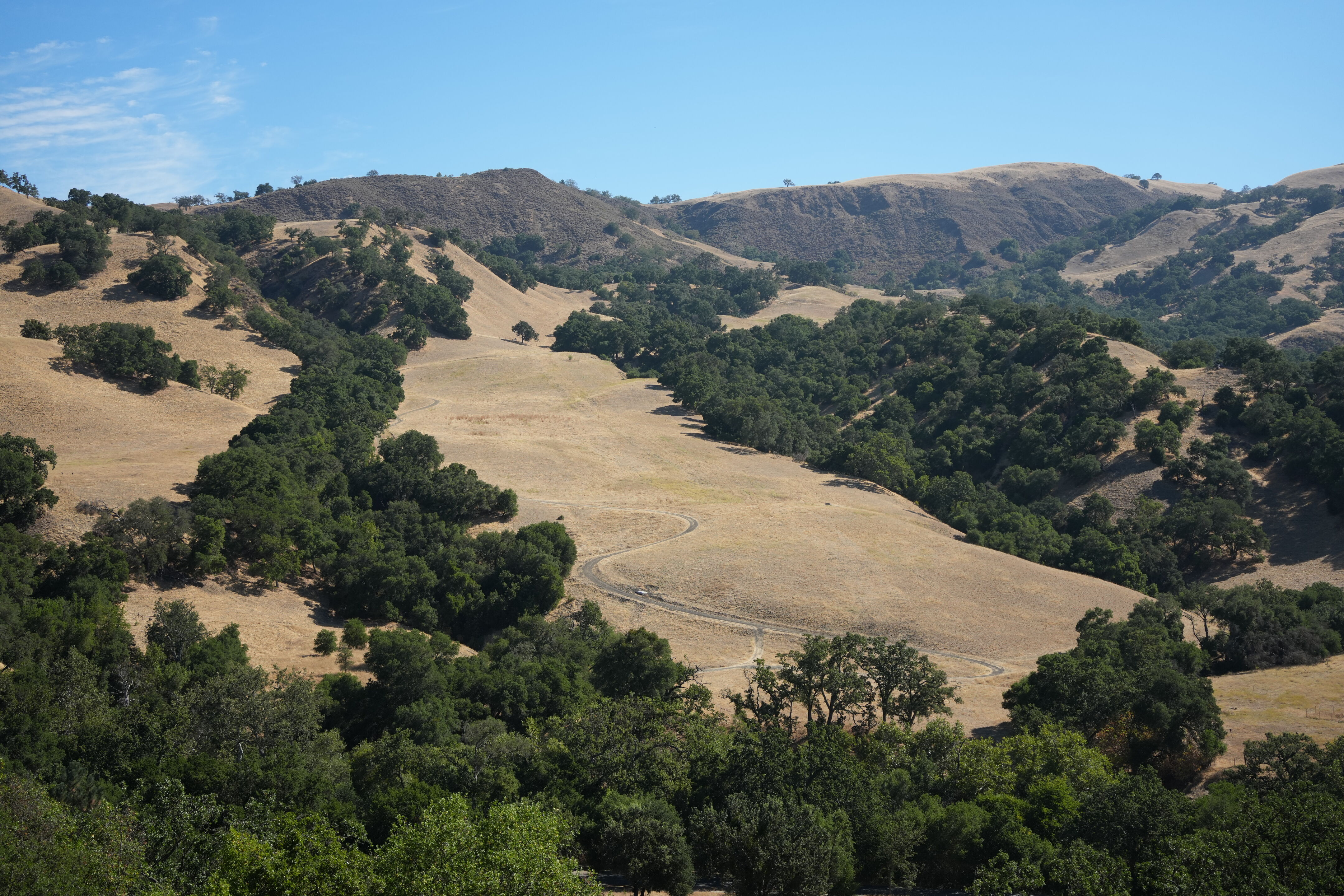 Ohlone Wilderness Trail