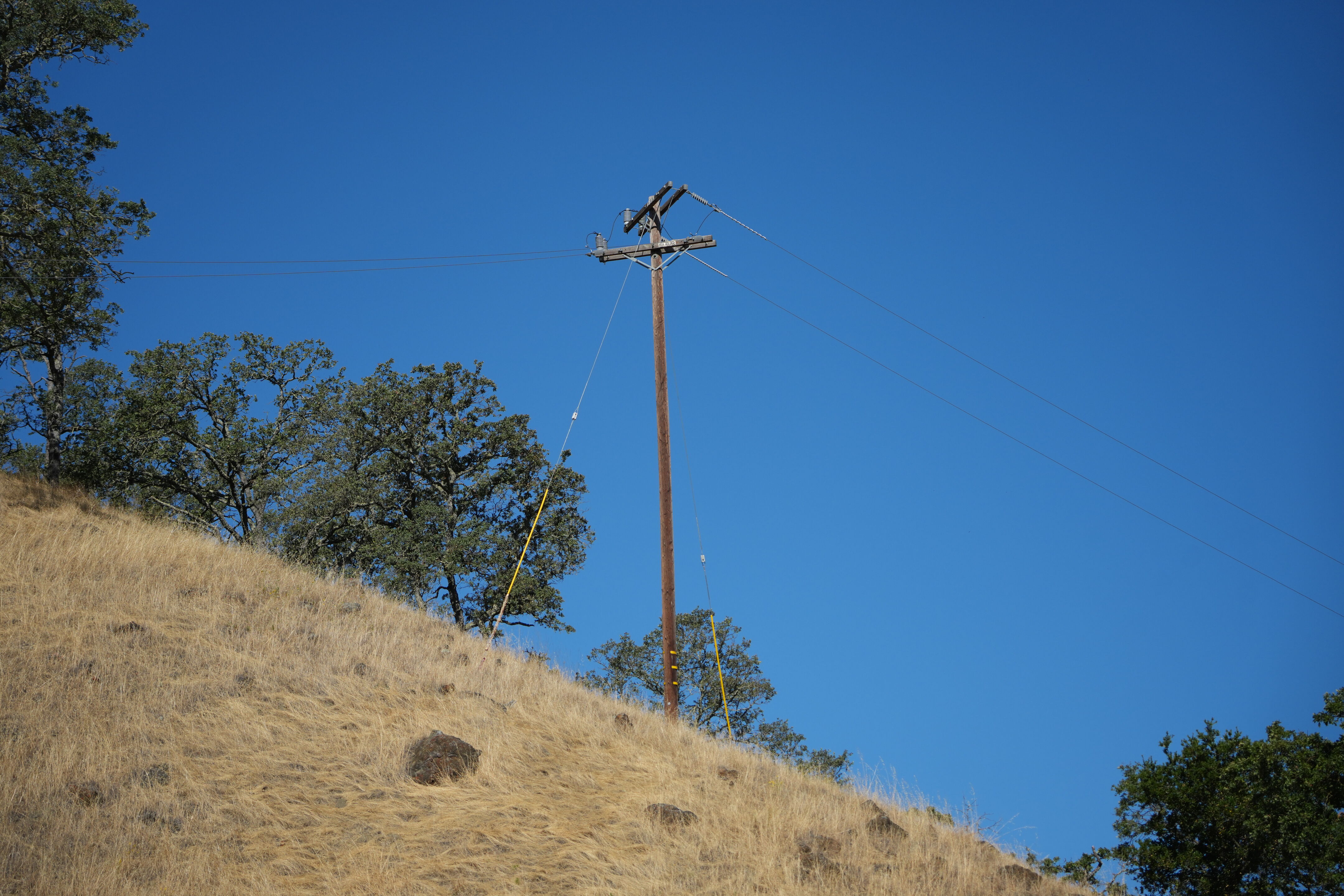 Ohlone Wilderness Trail