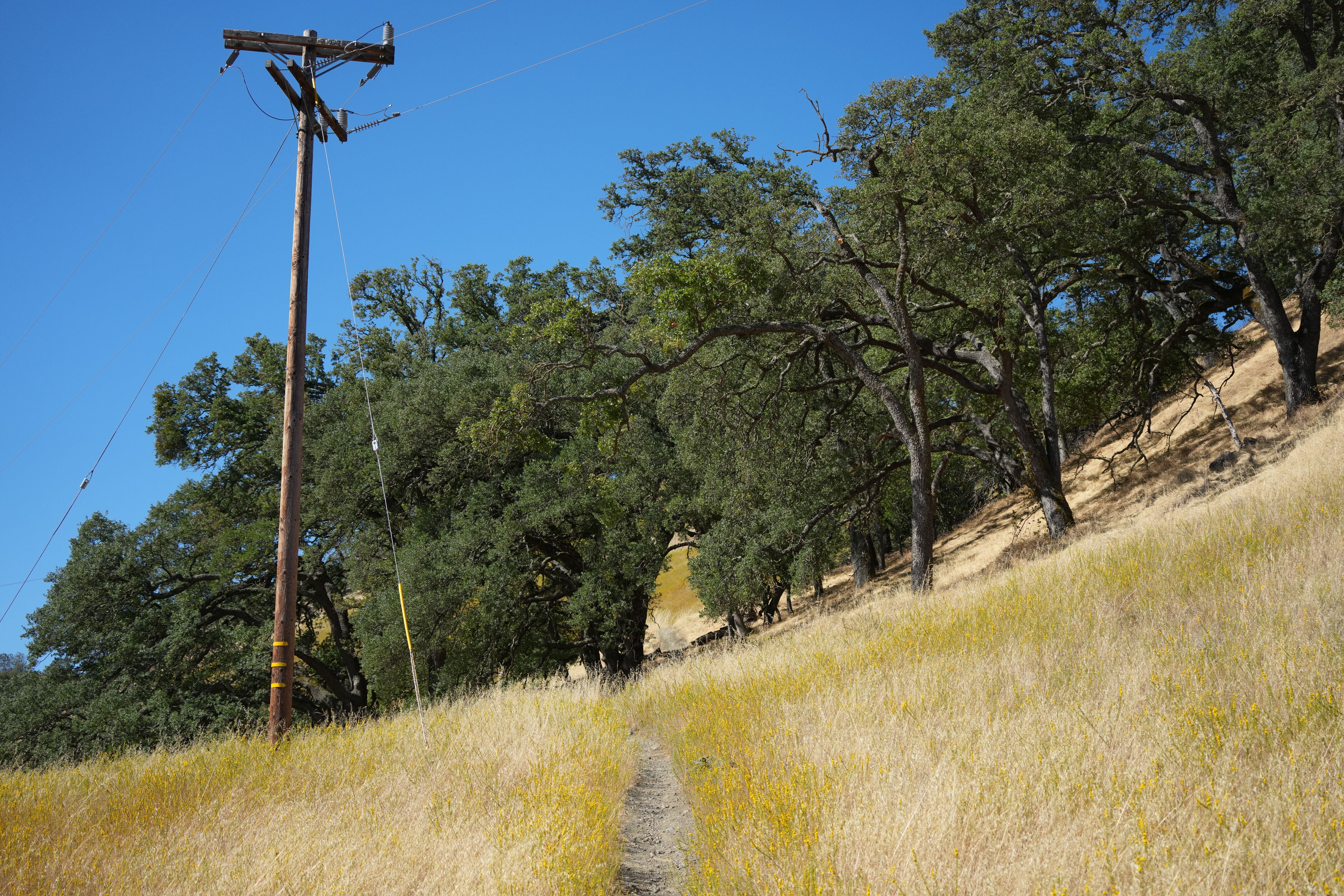 Ohlone Wilderness Trail