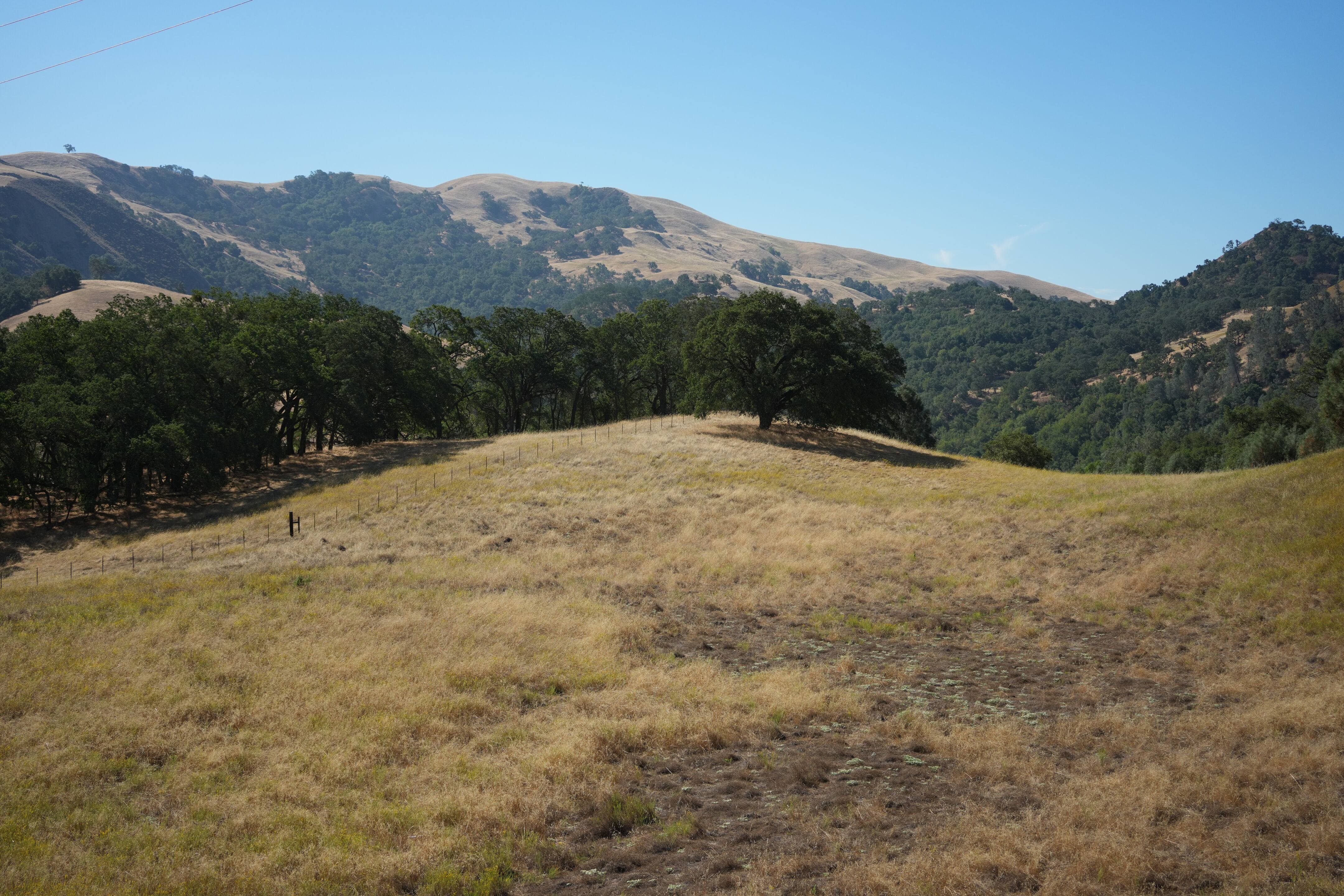 Ohlone Wilderness Trail