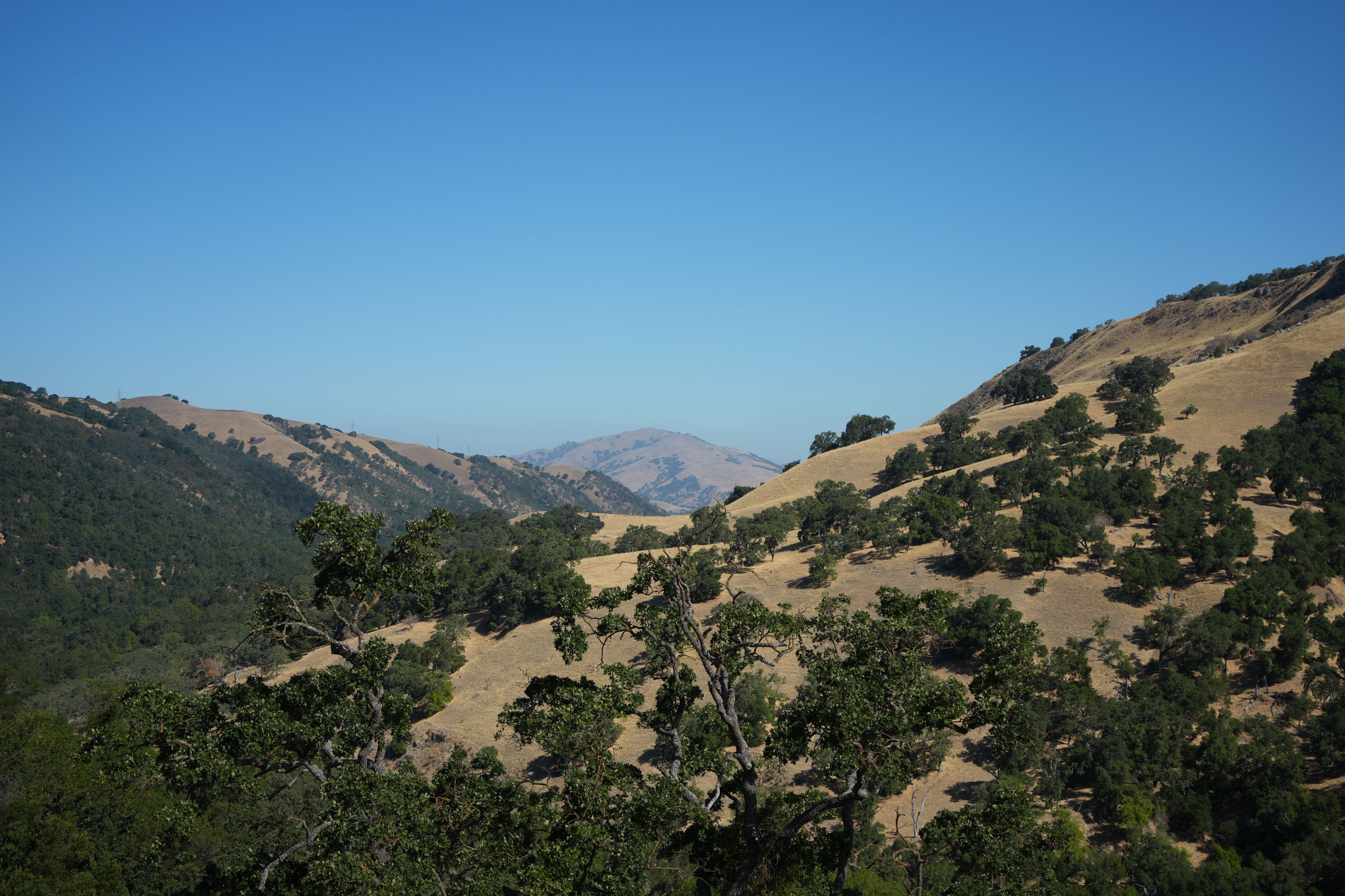 Ohlone Wilderness Trail