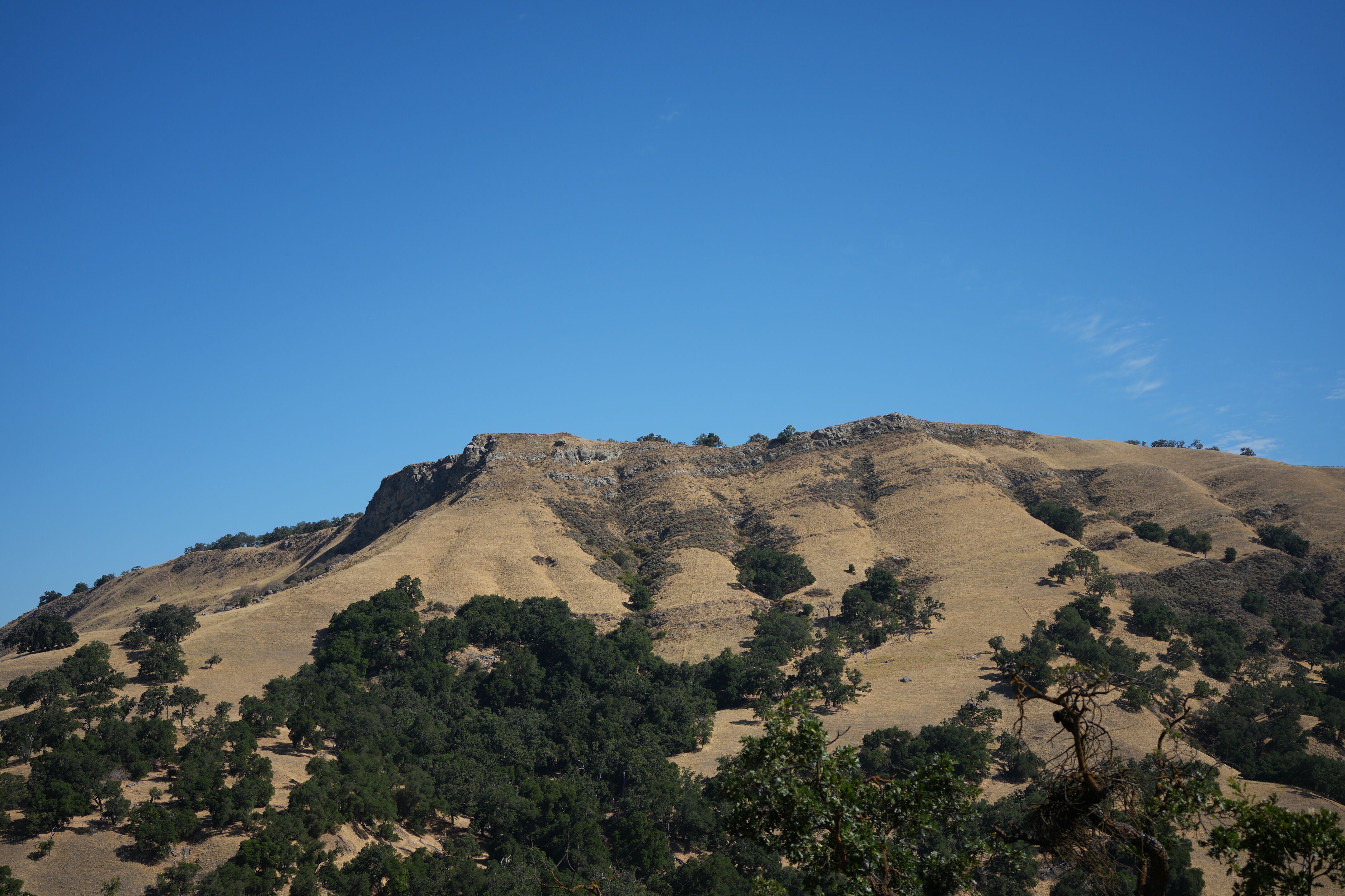 Ohlone Wilderness Trail