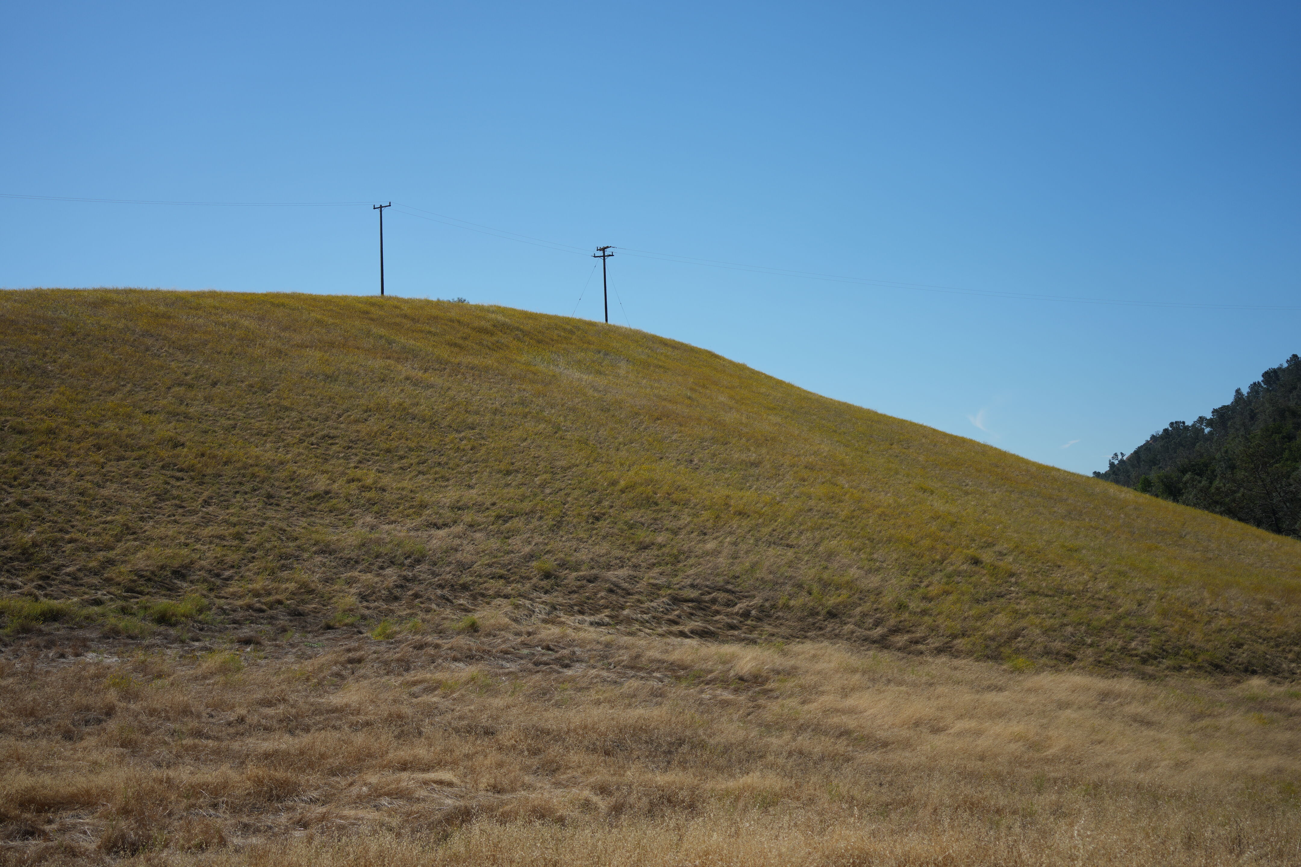 Ohlone Wilderness Trail