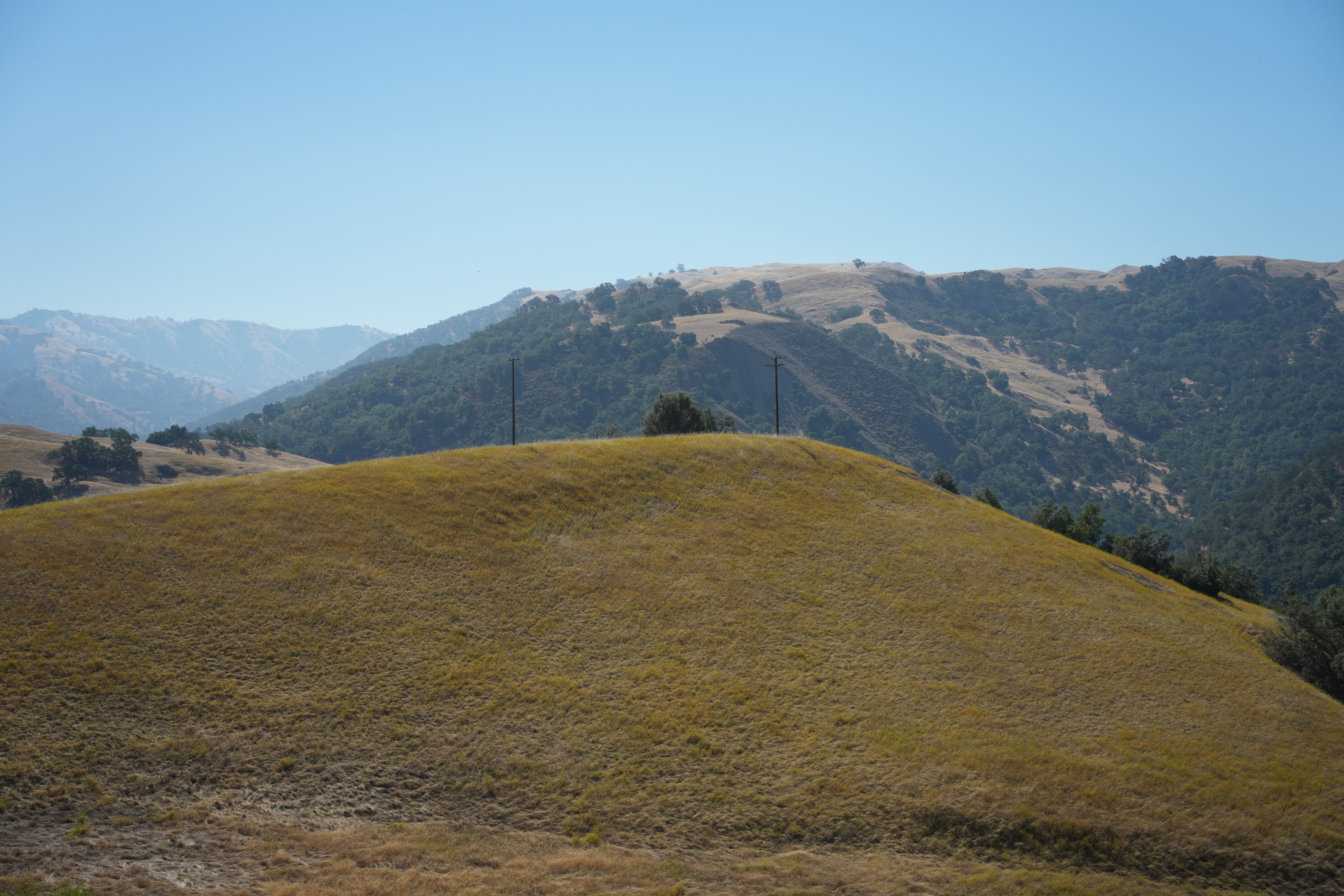 Ohlone Wilderness Trail