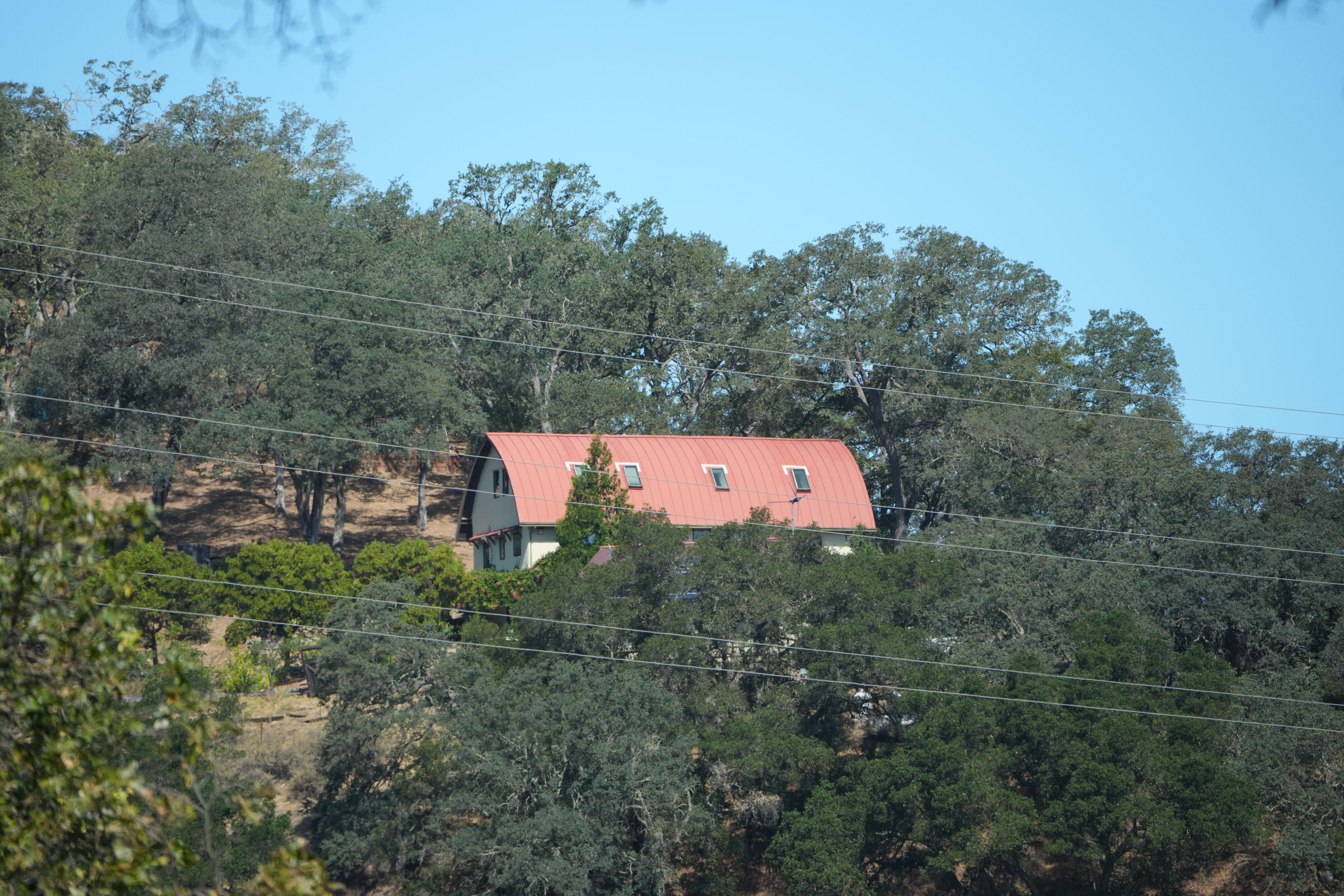 Ohlone Wilderness Trail