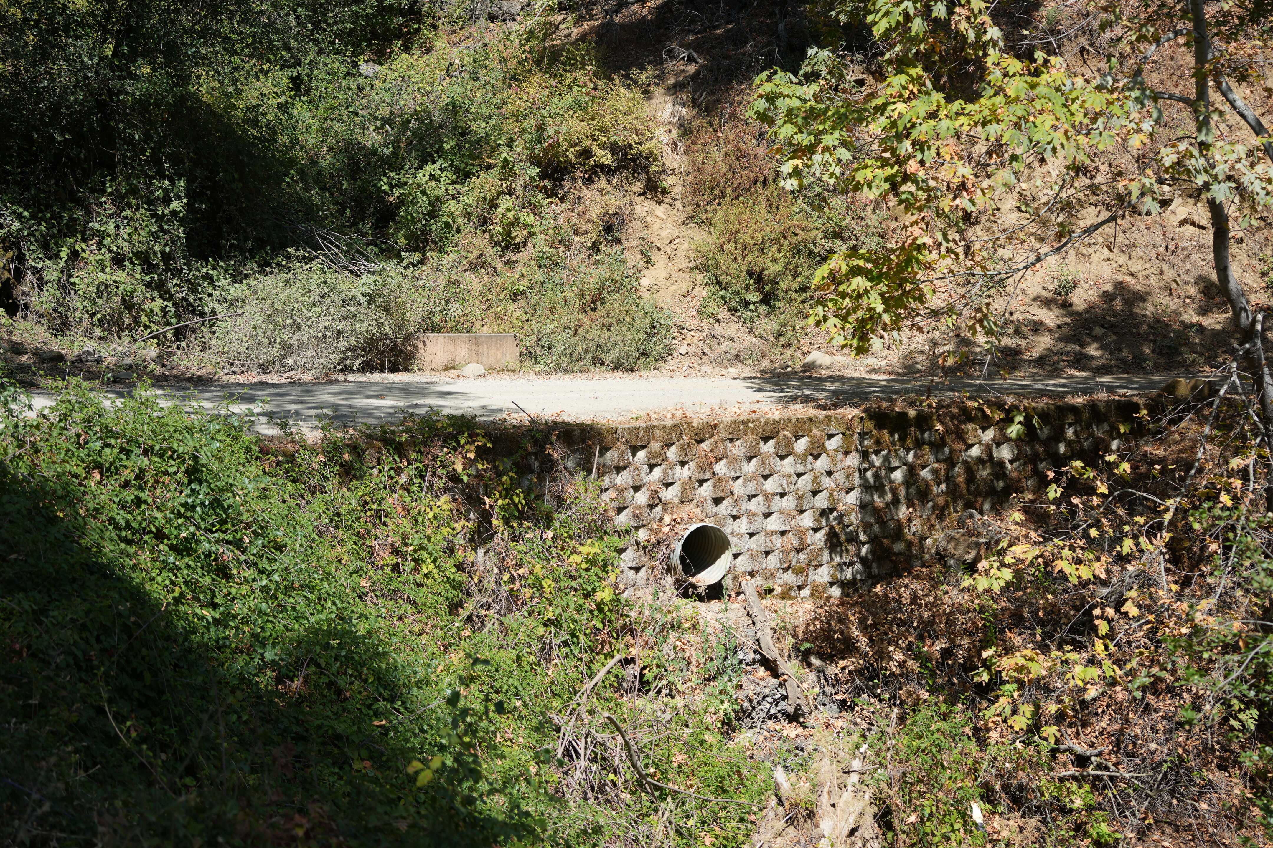 Ohlone Wilderness Trail