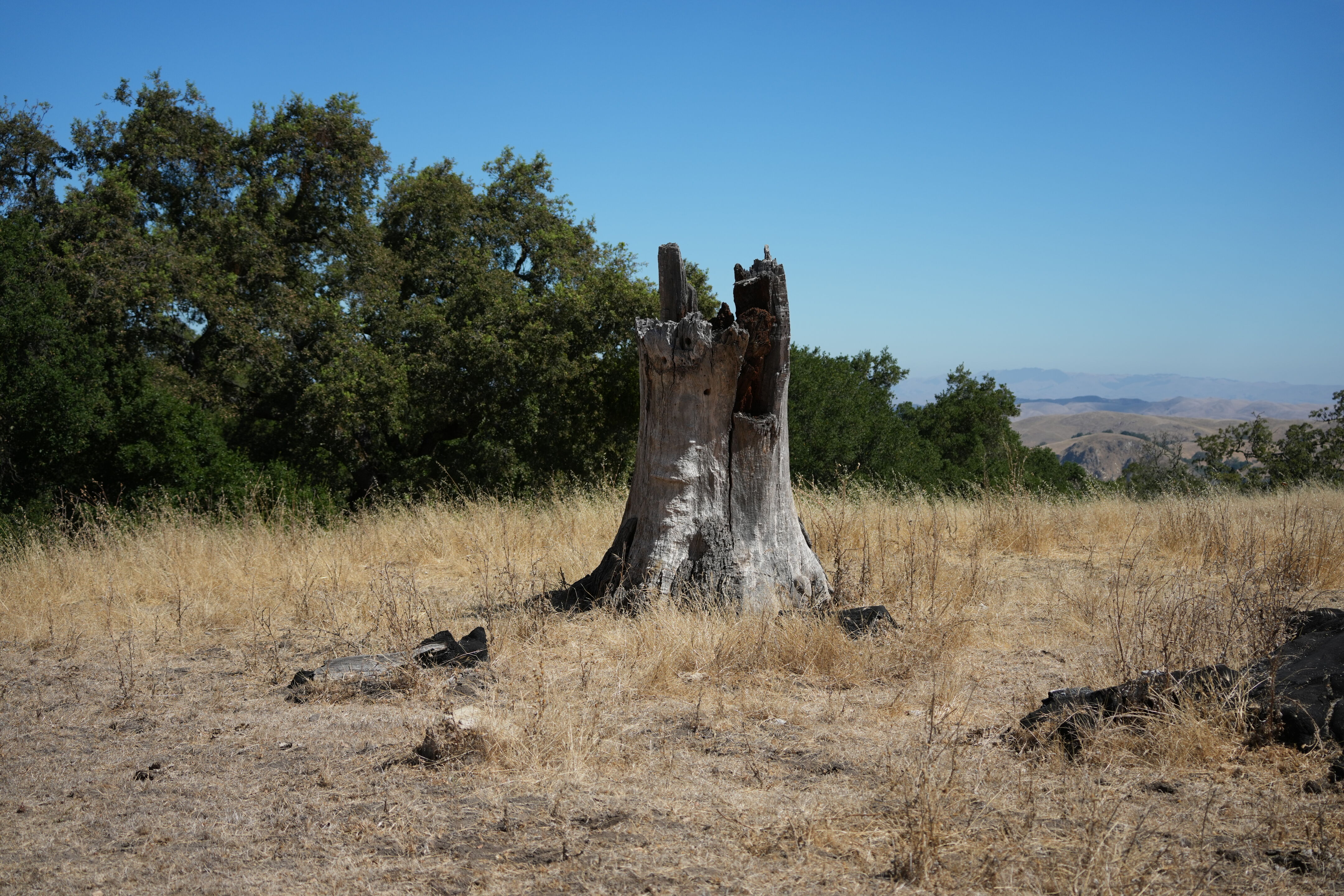 Ohlone Wilderness Trail