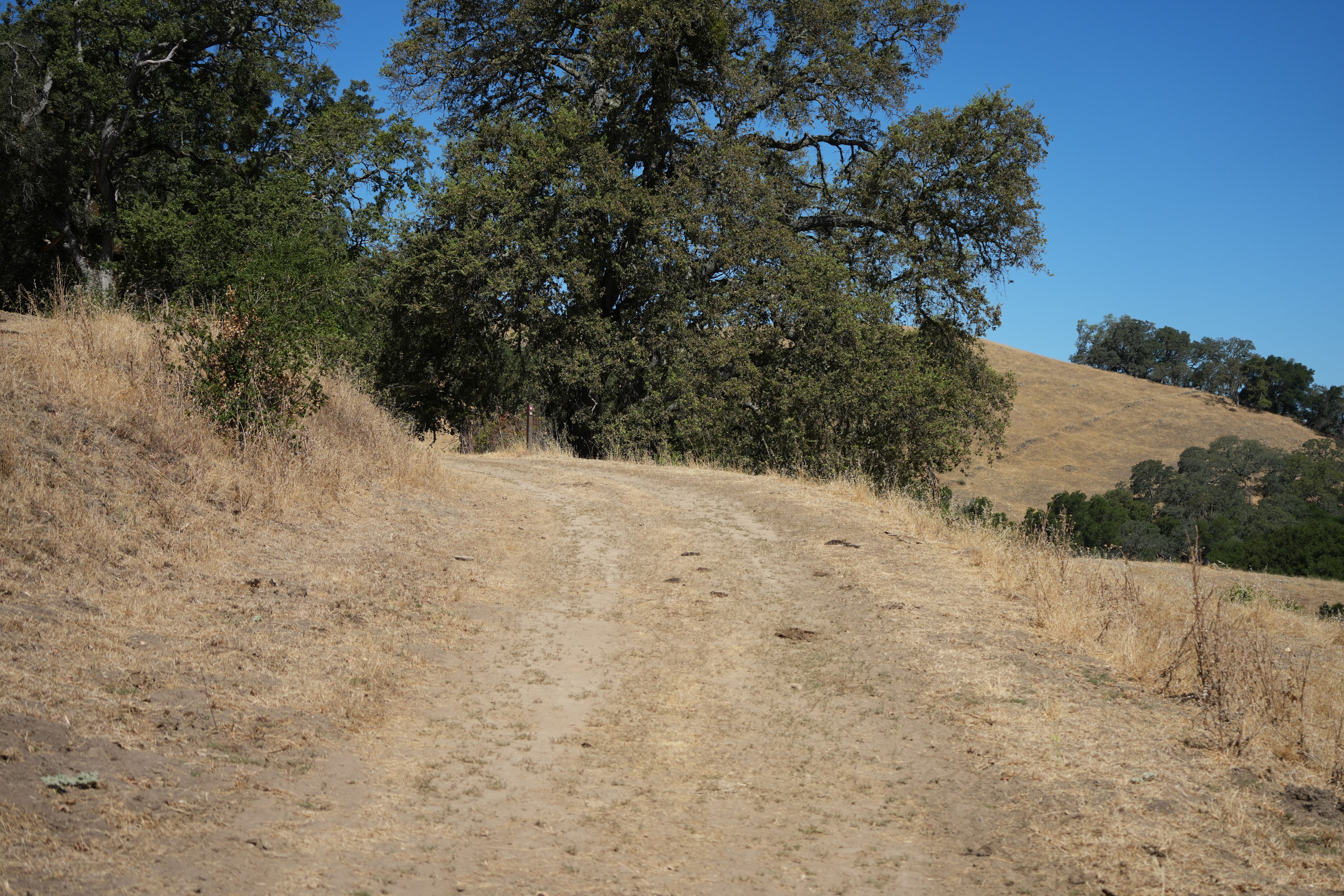 Ohlone Wilderness Trail