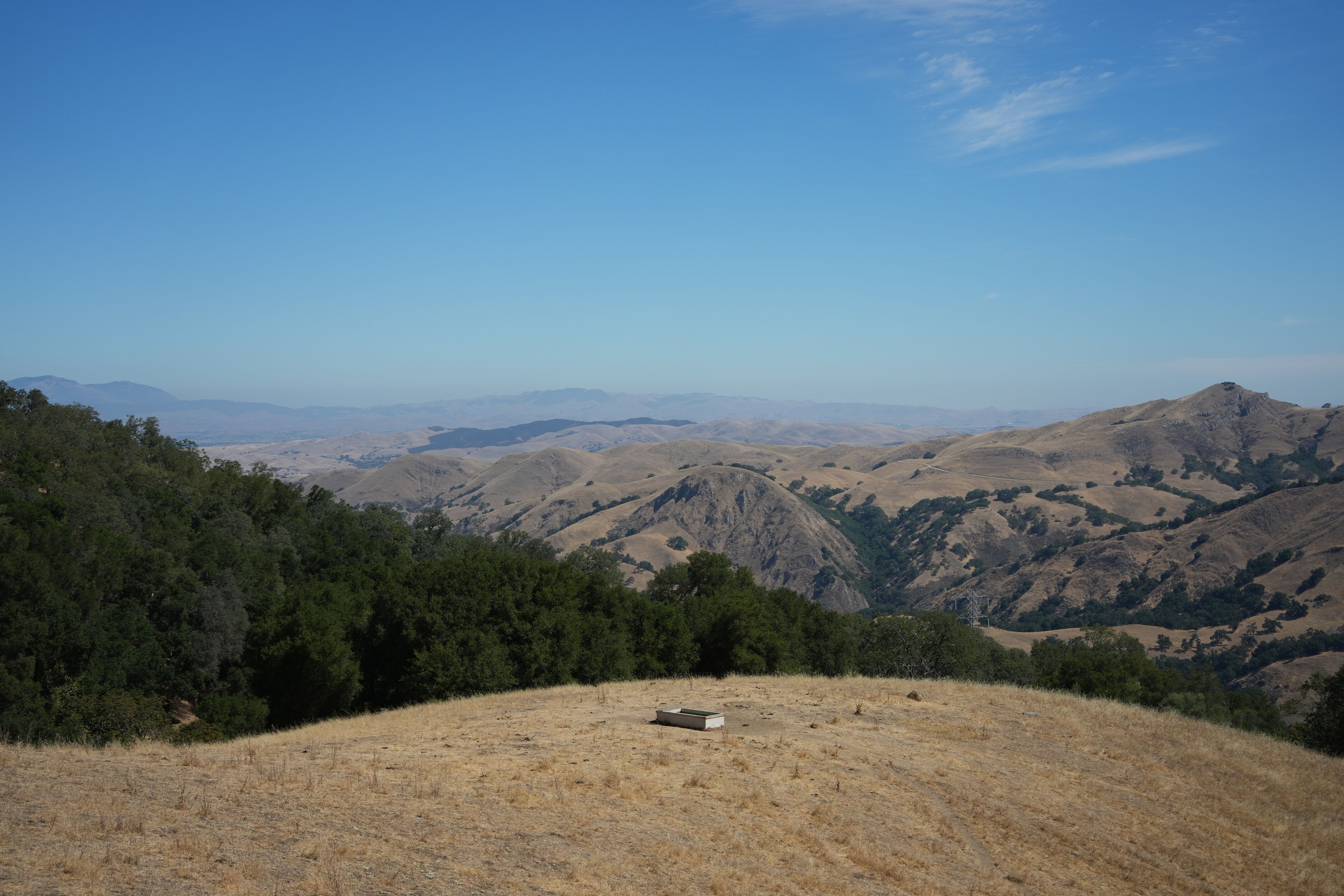 Ohlone Wilderness Trail