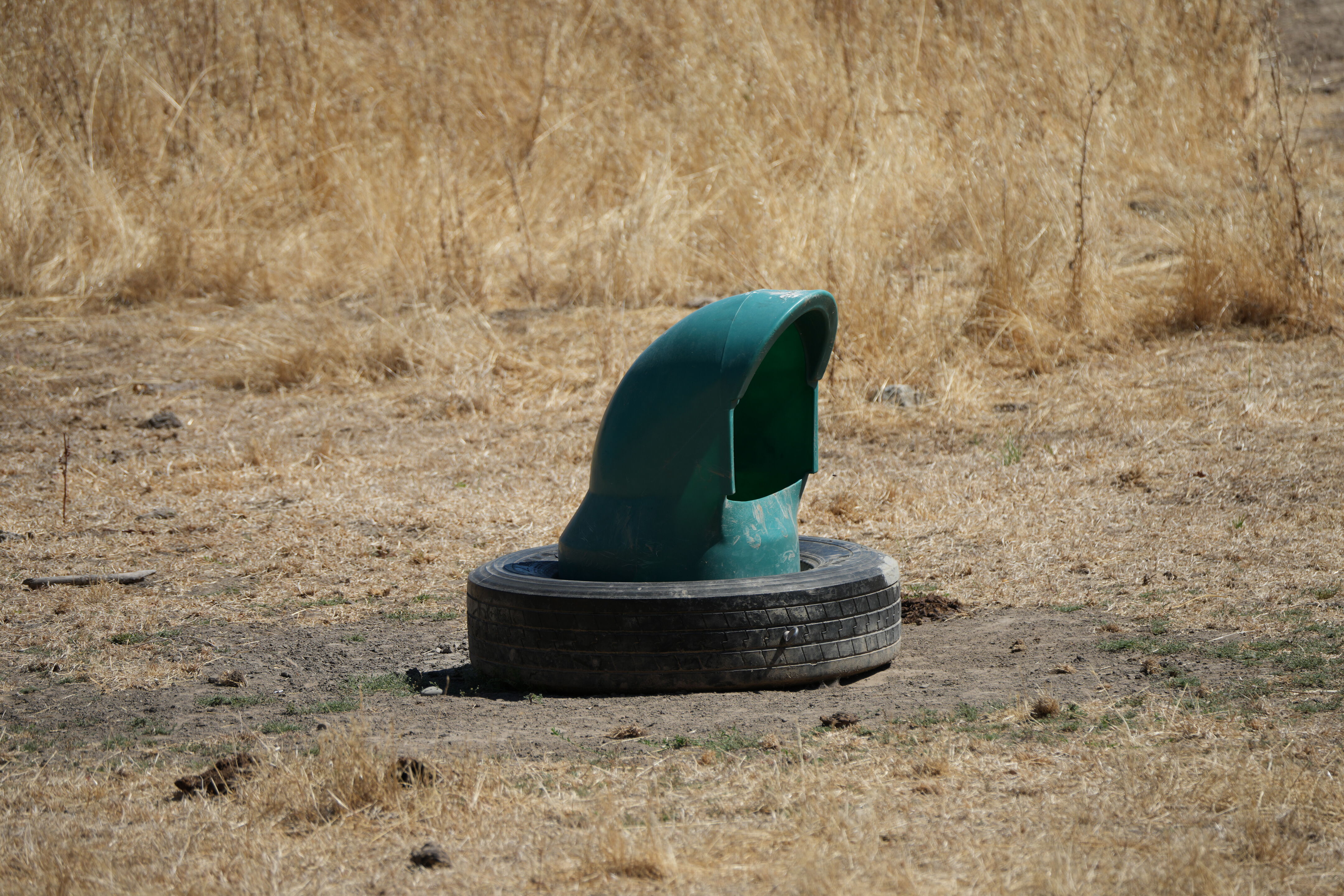 Ohlone Wilderness Trail
