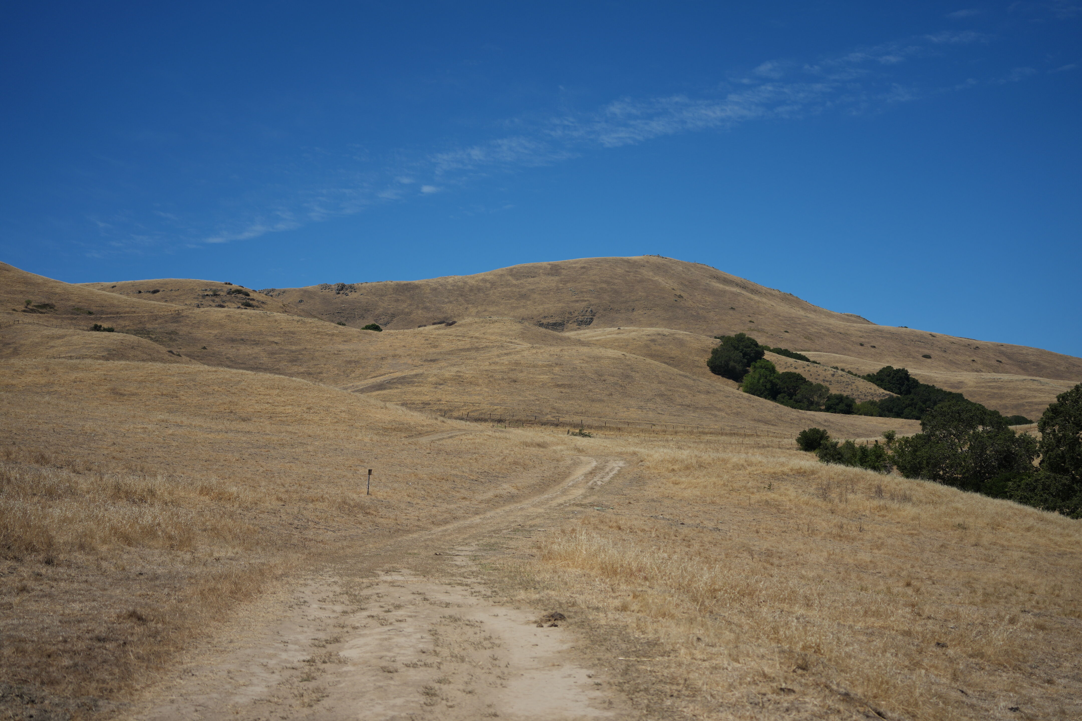 Ohlone Wilderness Trail