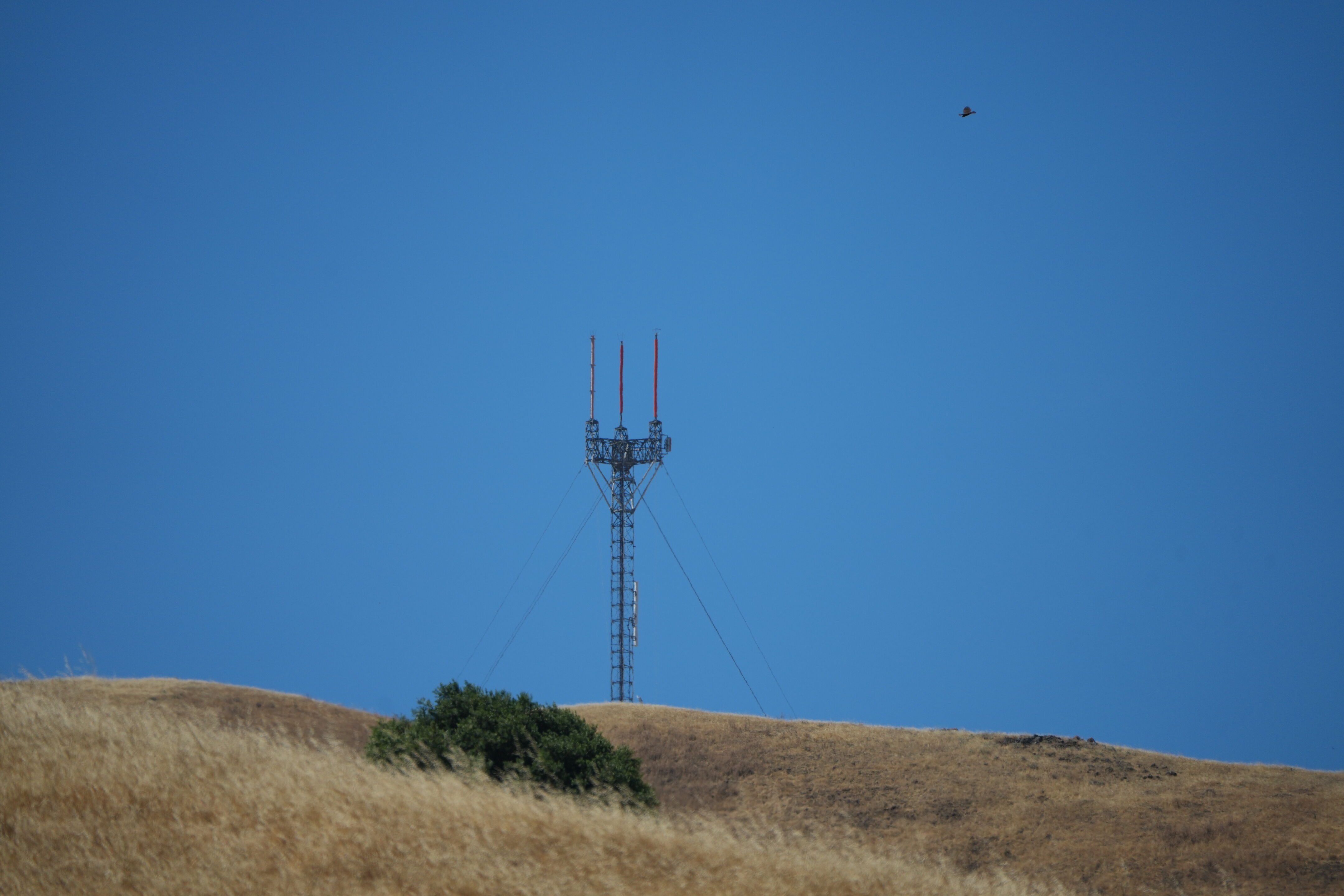 Ohlone Wilderness Trail