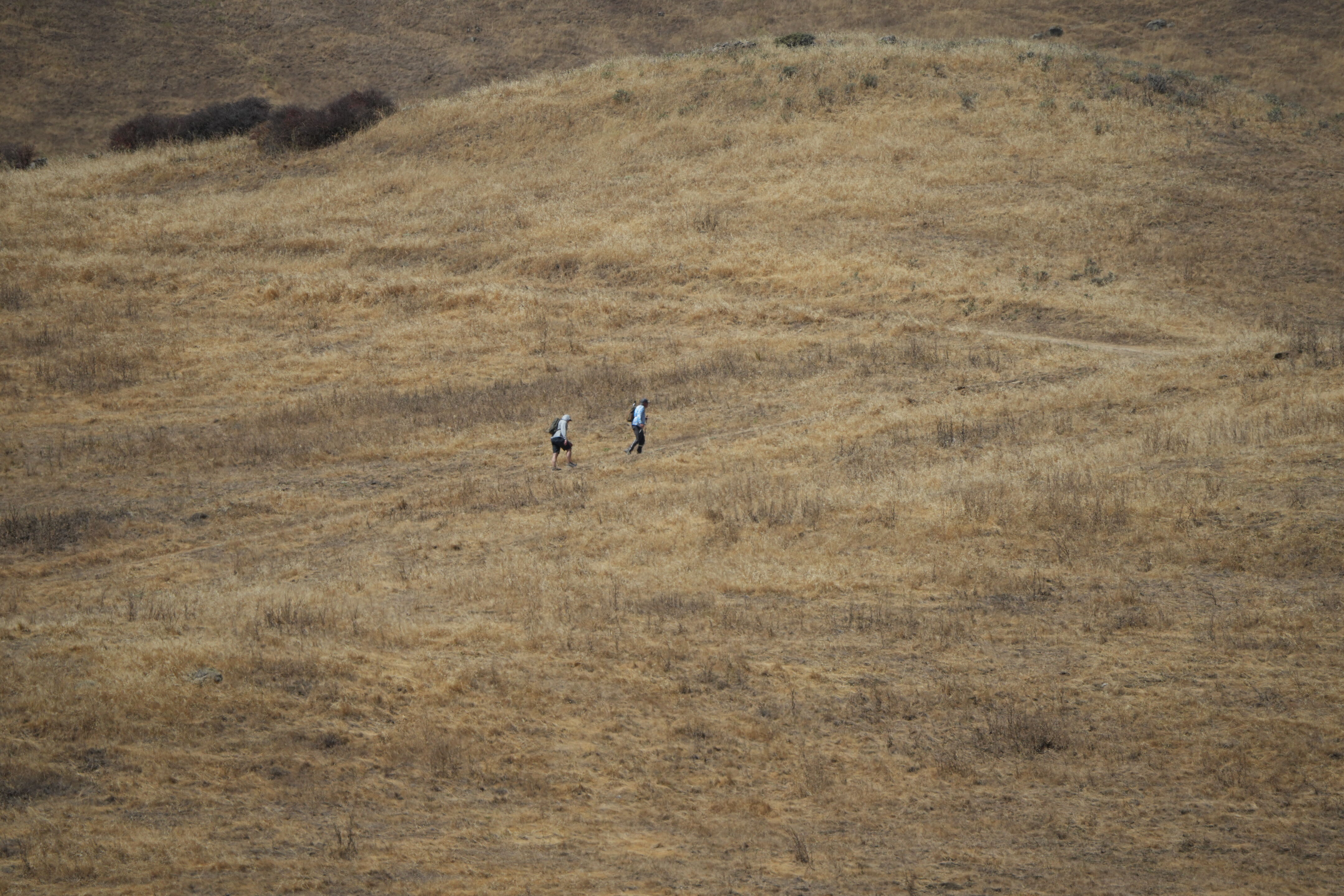 Ohlone Wilderness Trail