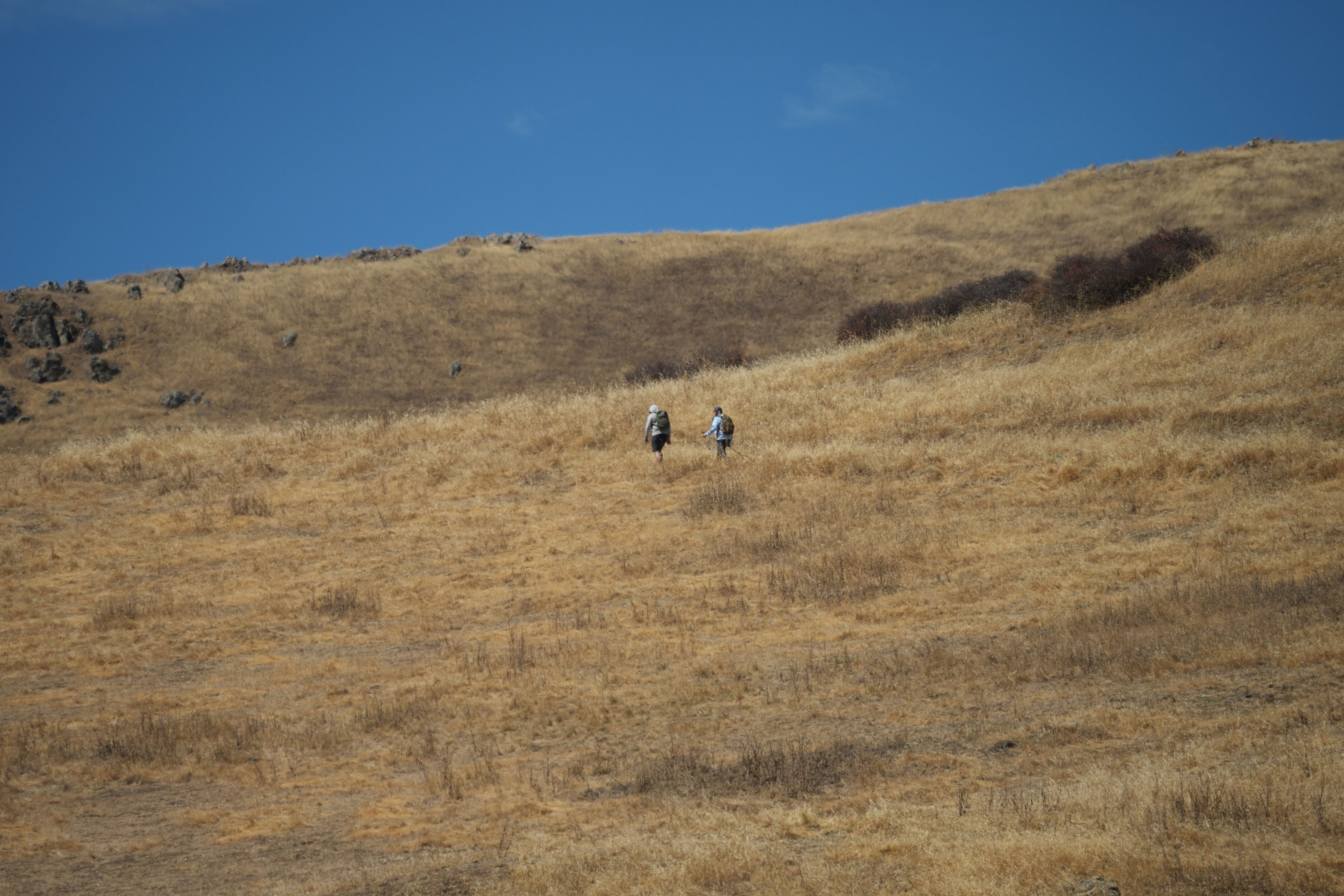 Ohlone Wilderness Trail