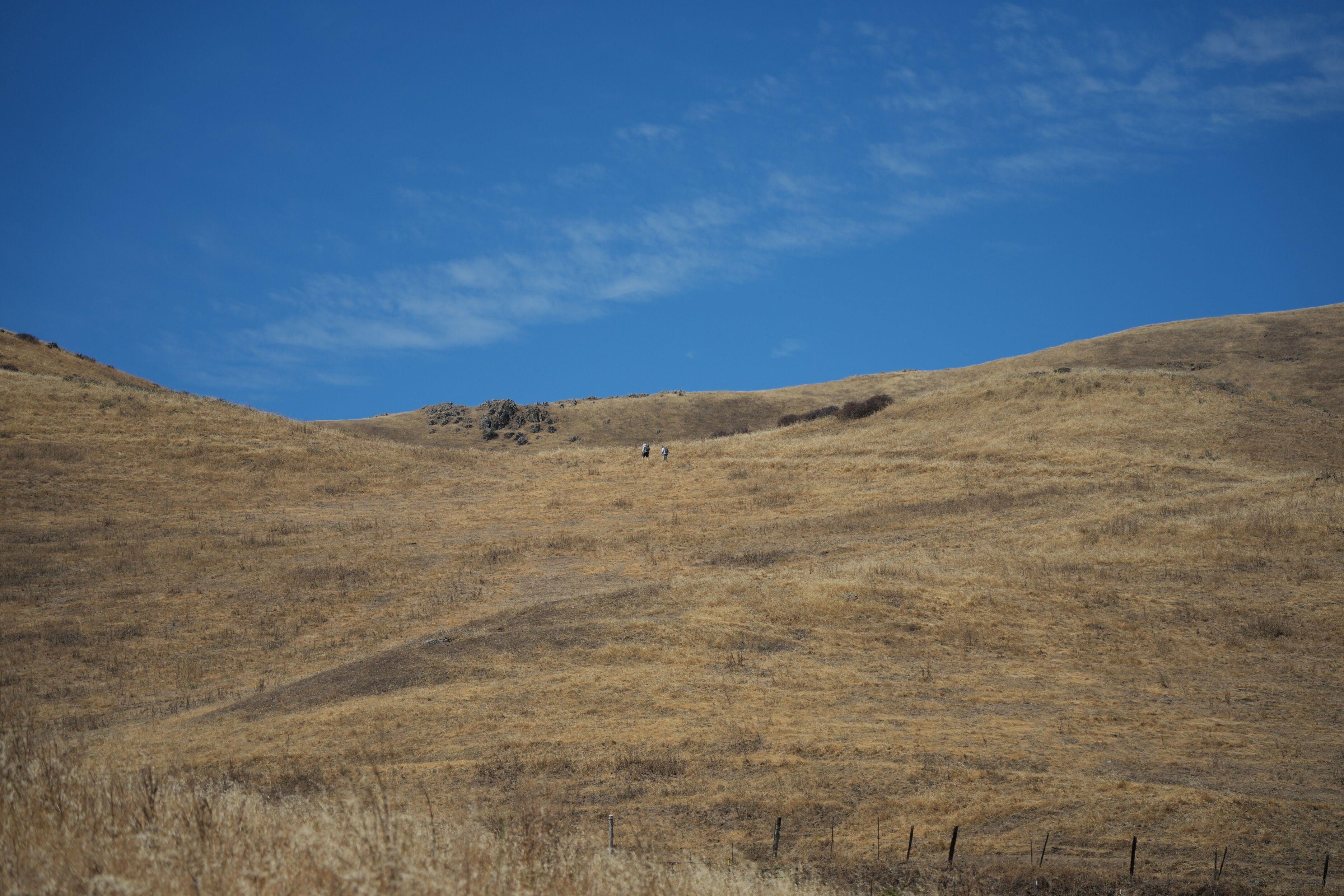 Ohlone Wilderness Trail
