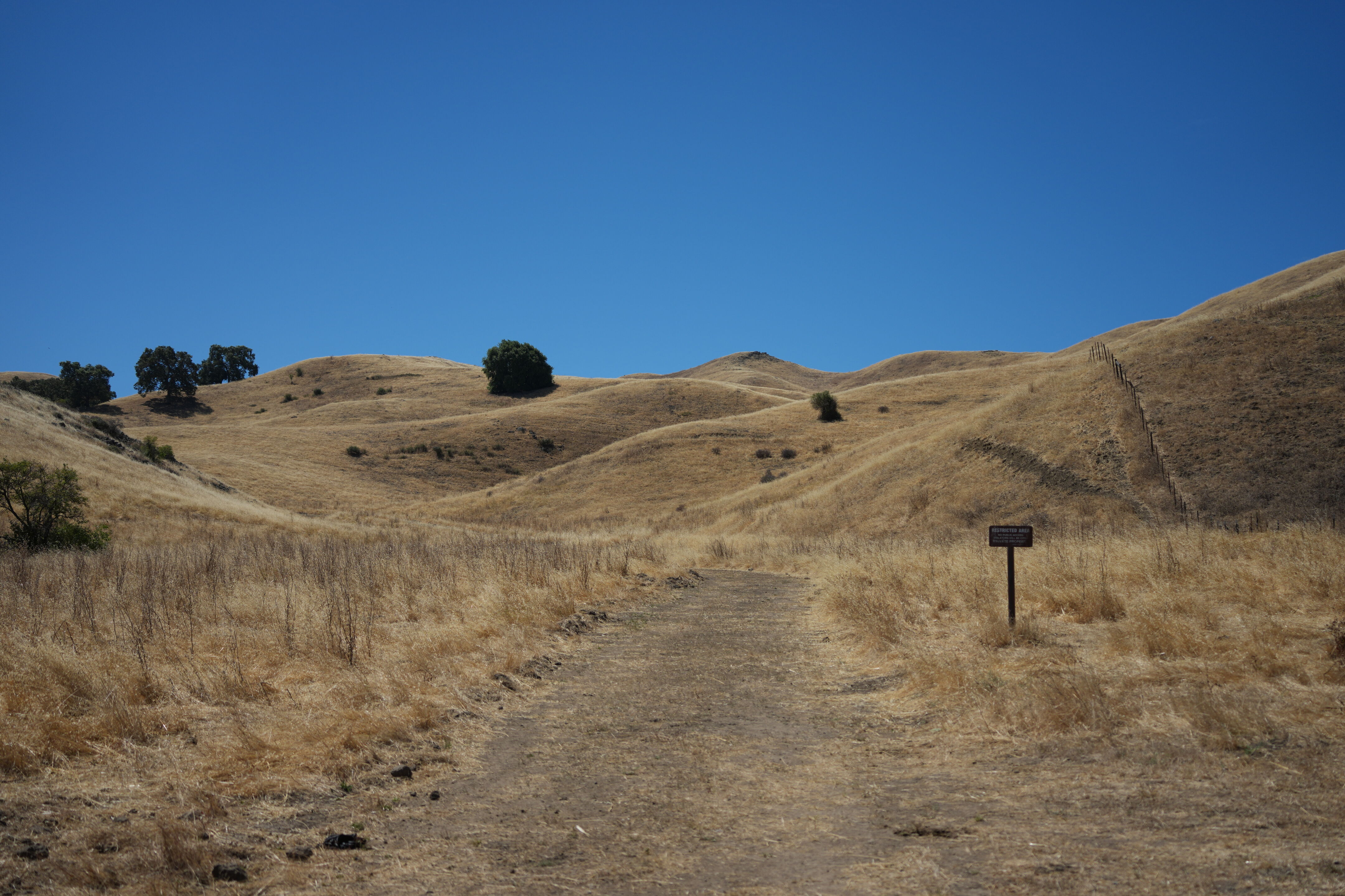 Ohlone Wilderness Trail