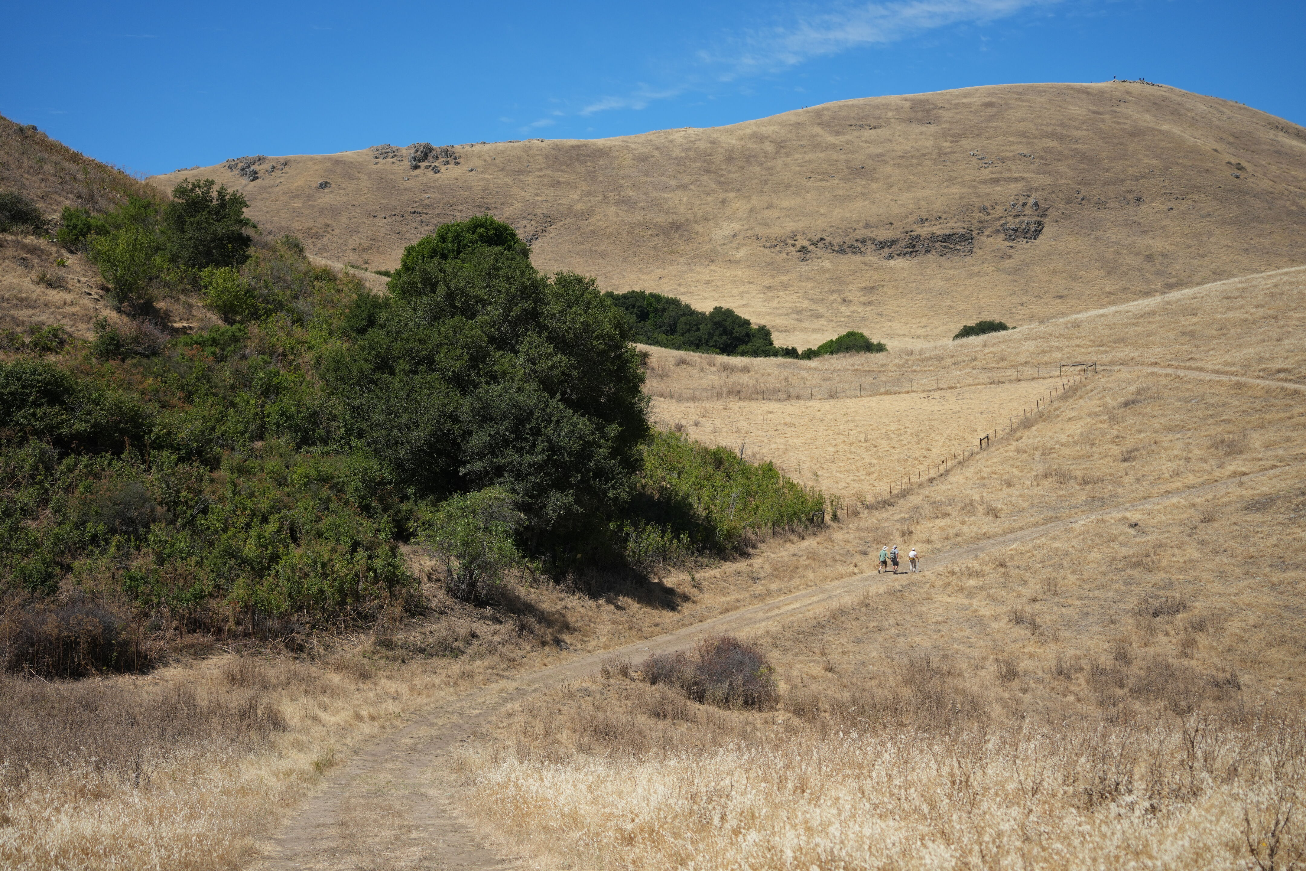 Ohlone Wilderness Trail