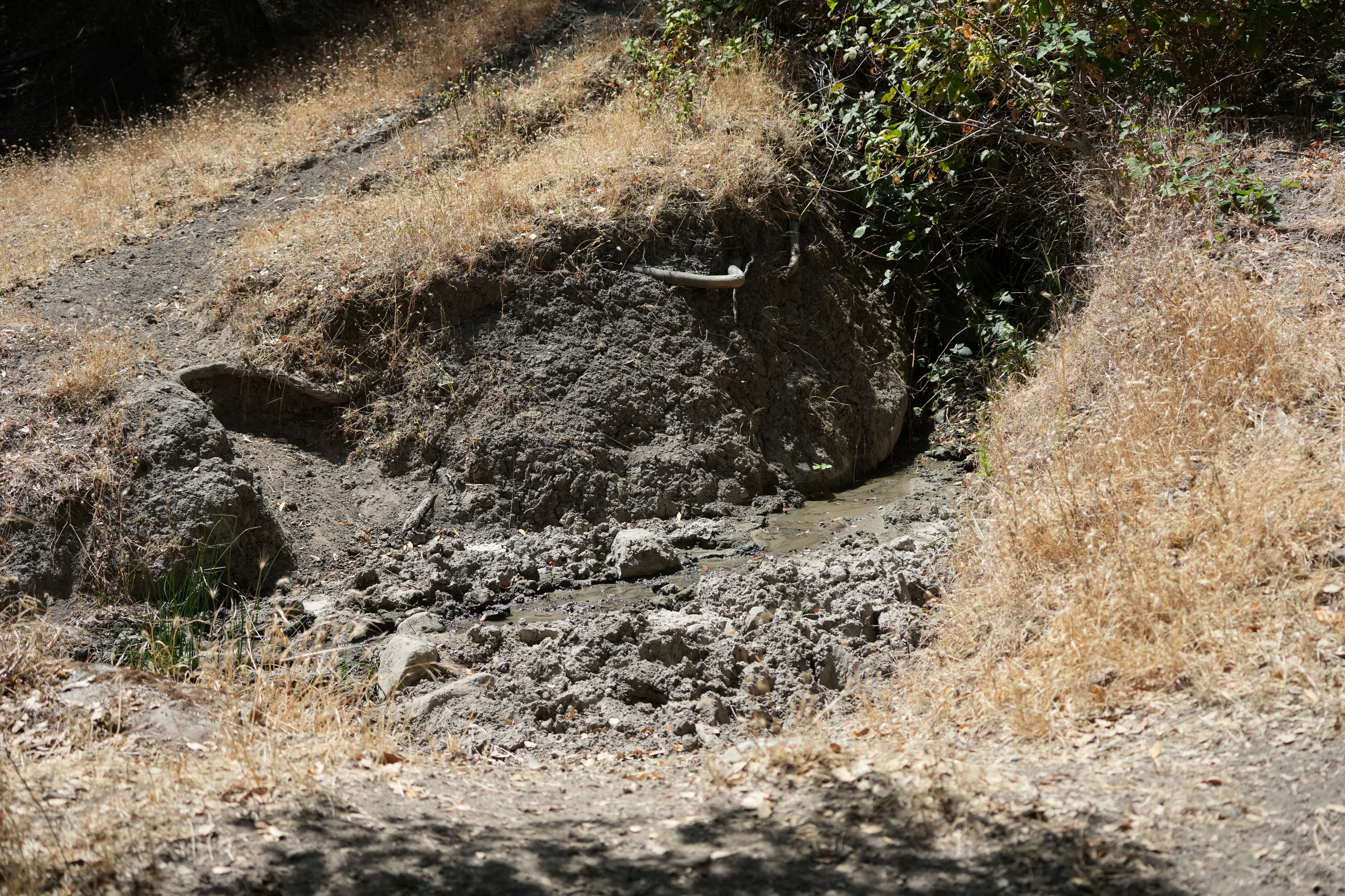 Ohlone Wilderness Trail