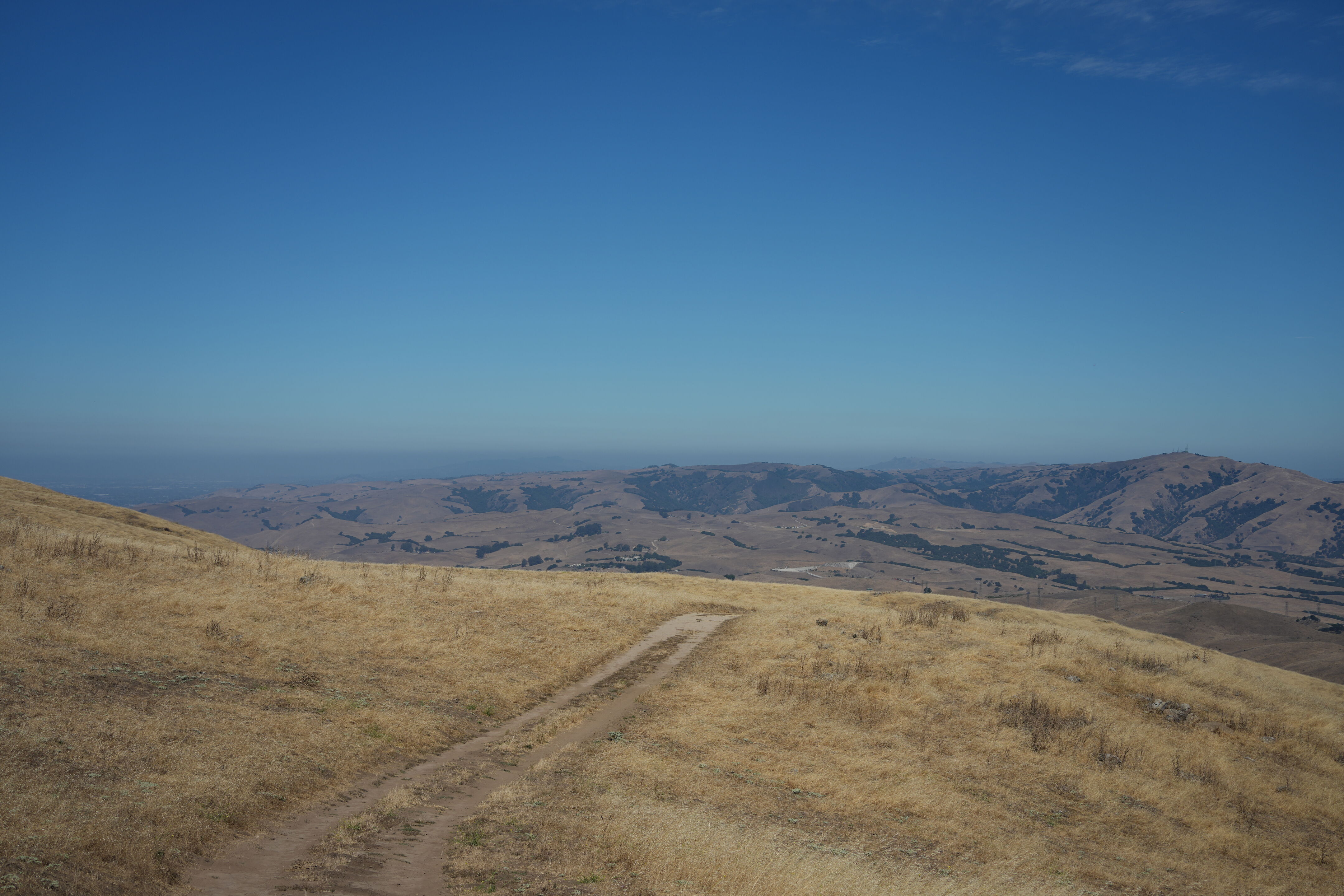 Ohlone Wilderness Trail