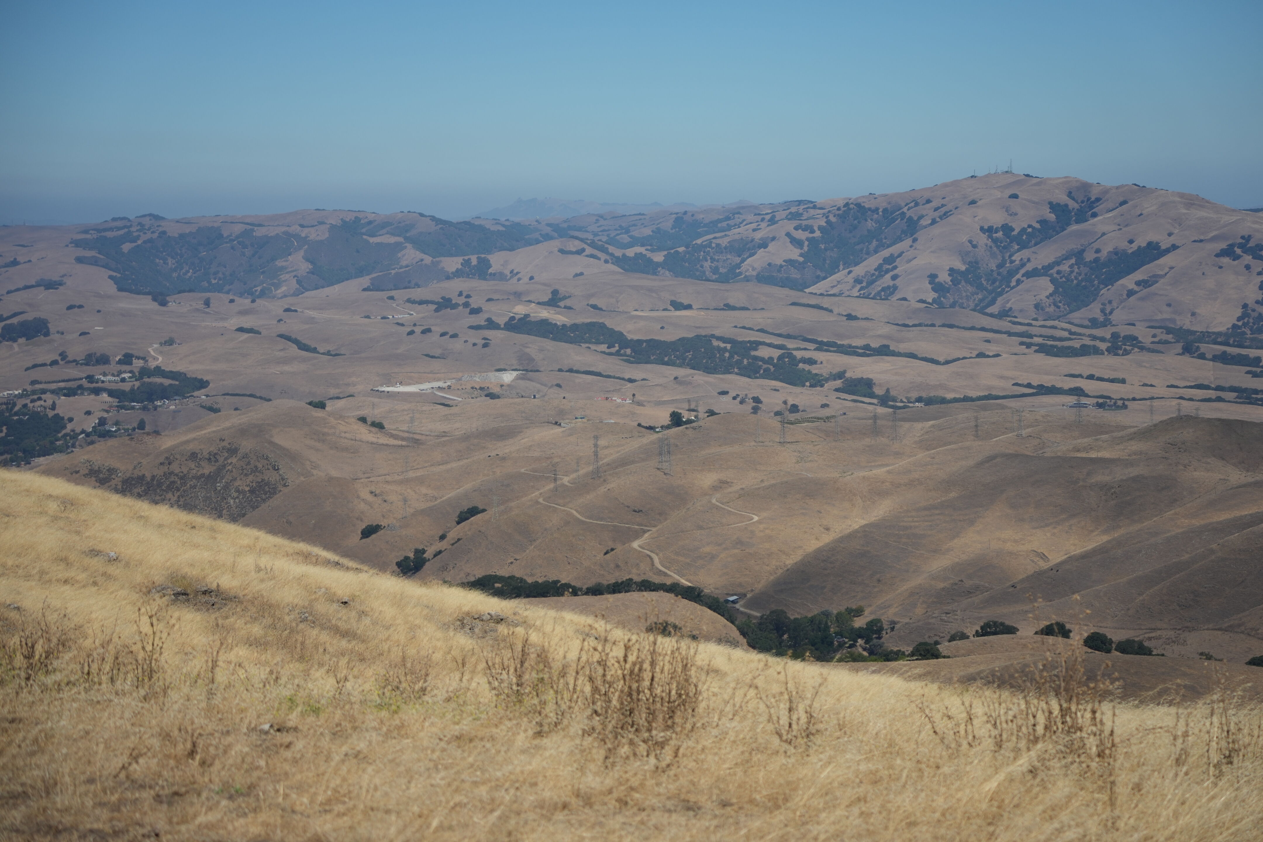 Ohlone Wilderness Trail