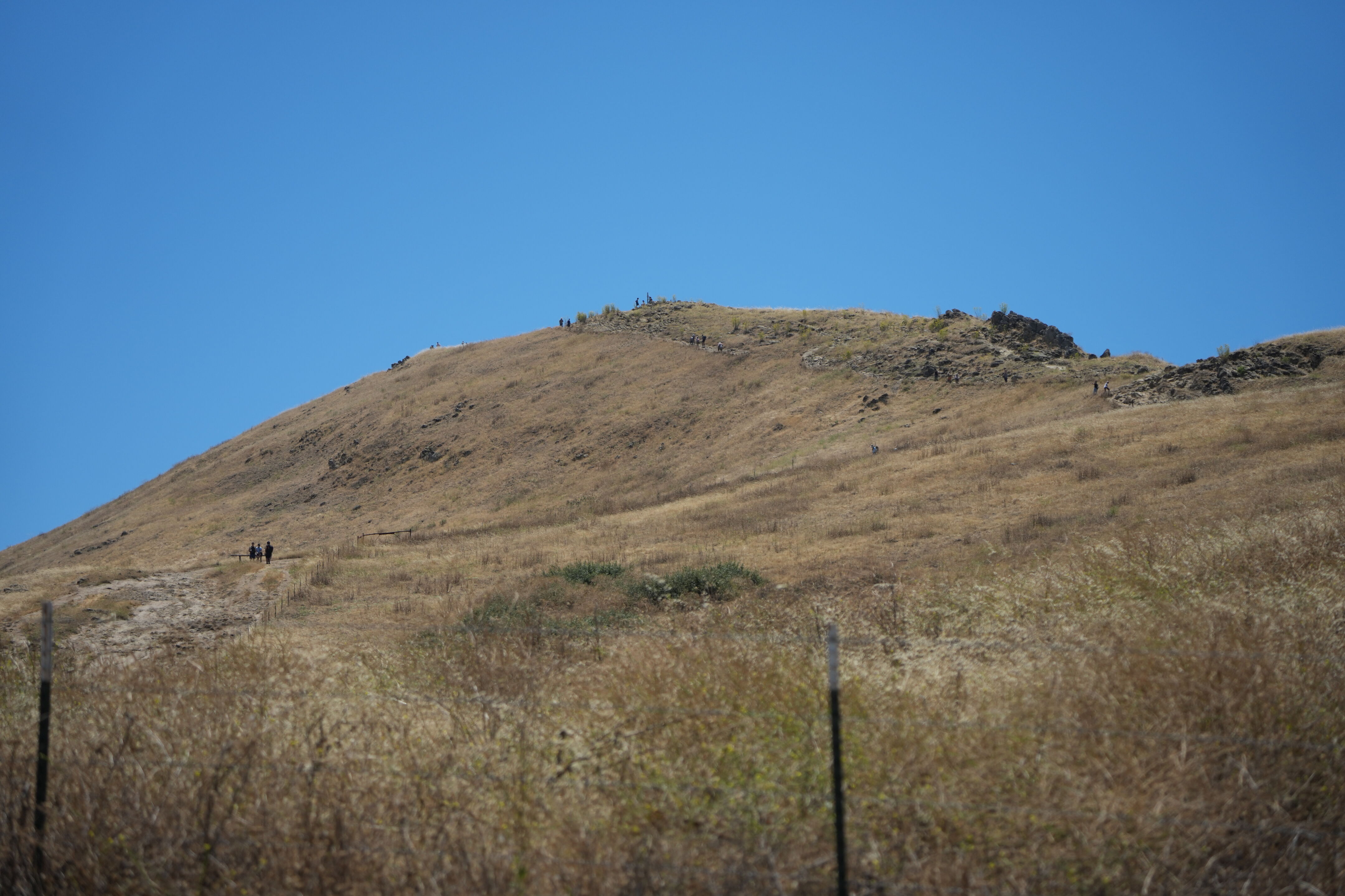 Ohlone Wilderness Trail