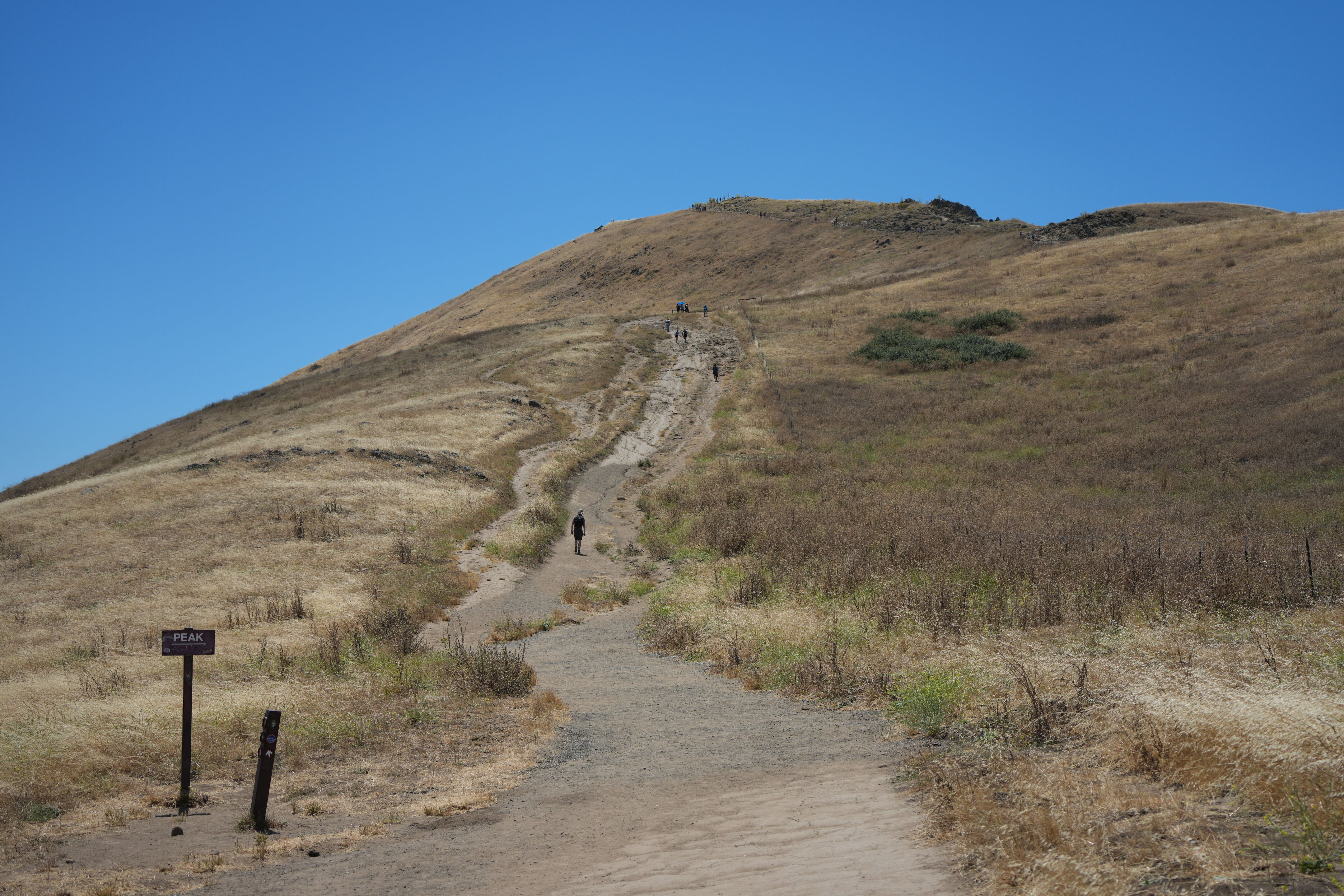 Ohlone Wilderness Trail