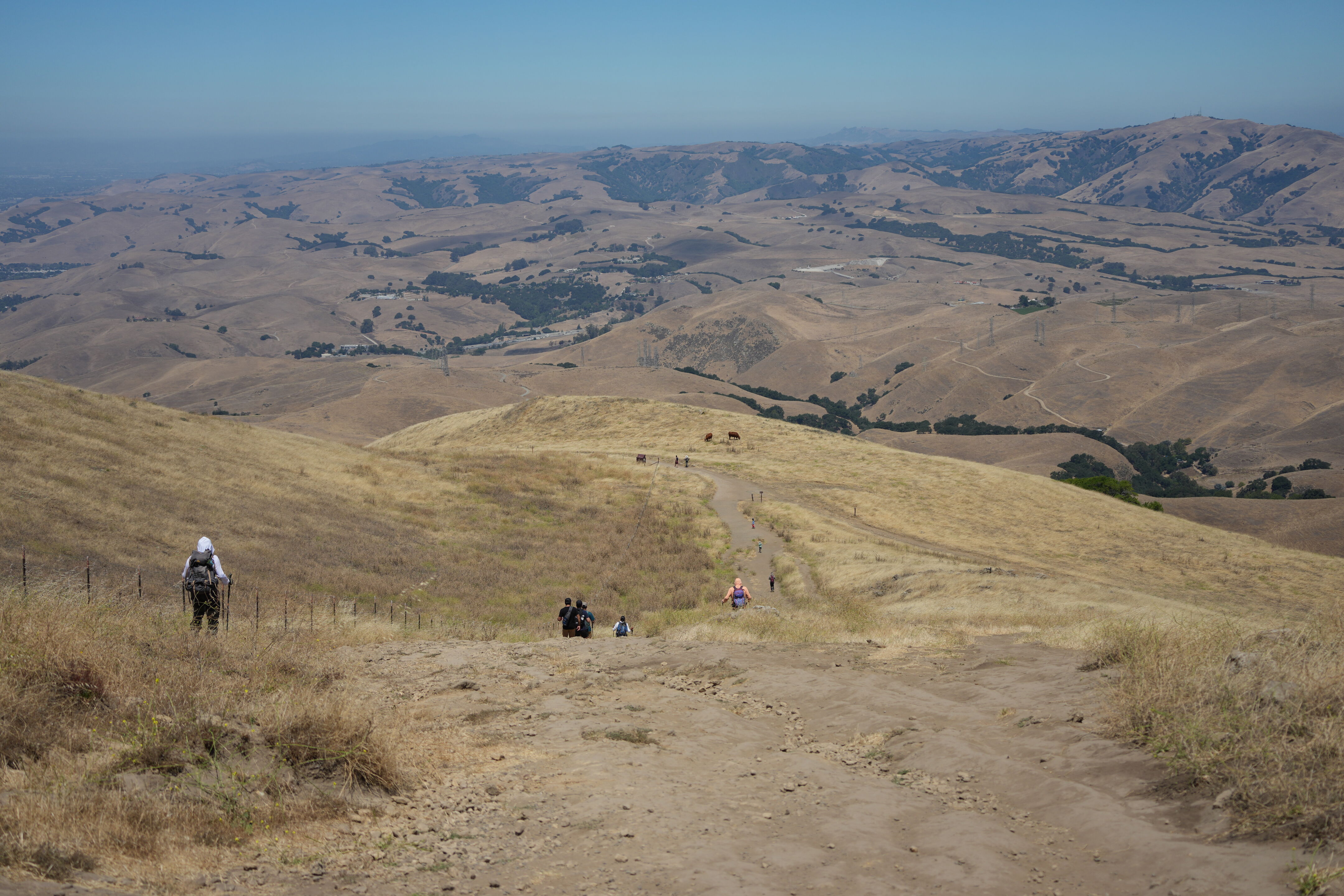 Ohlone Wilderness Trail