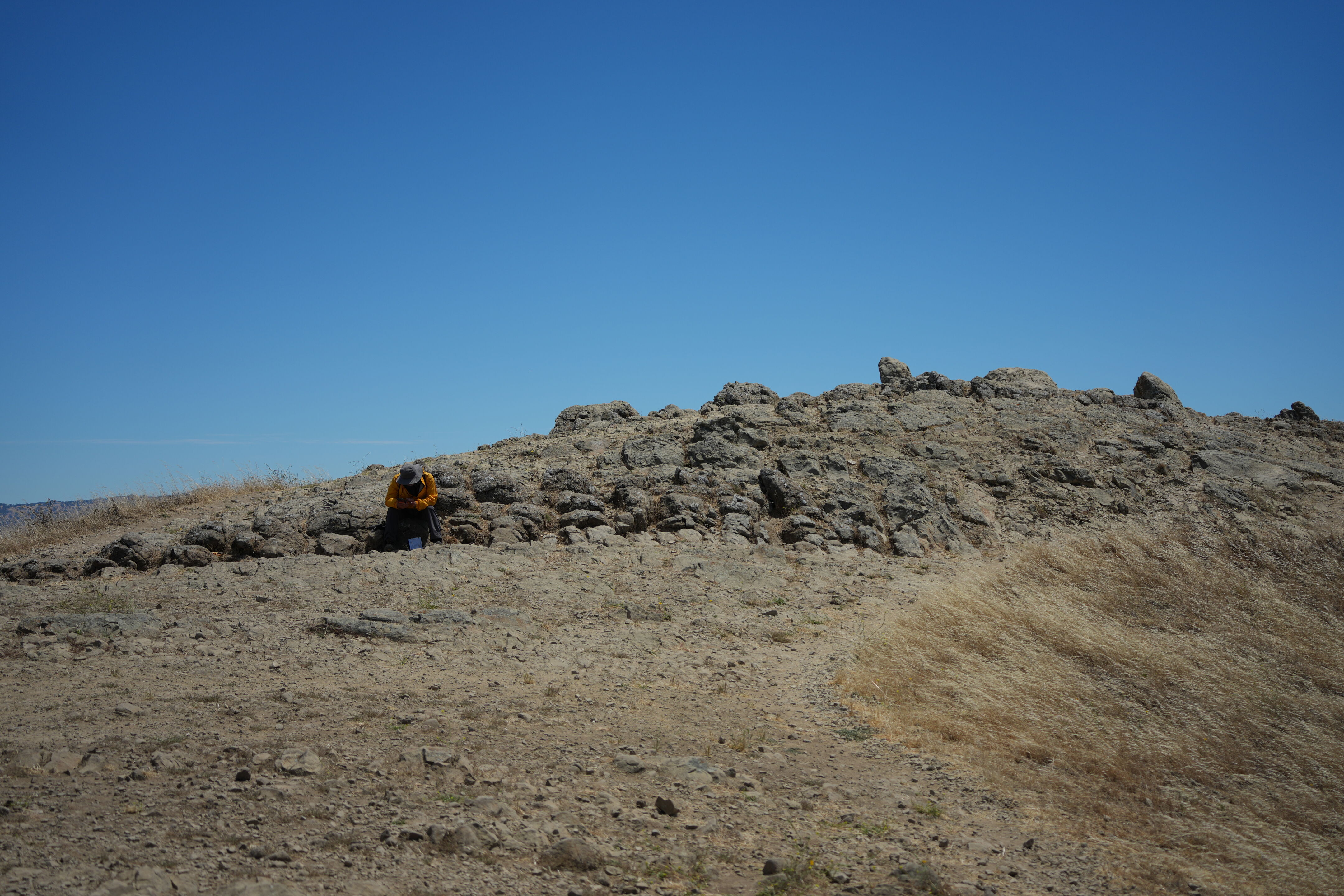 Ohlone Wilderness Trail